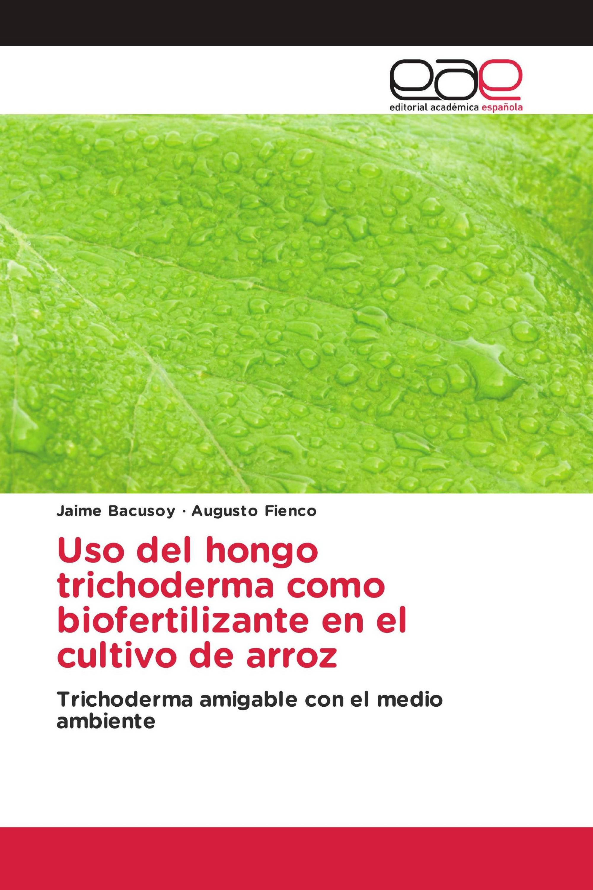 Uso del hongo trichoderma como biofertilizante en el cultivo de arroz