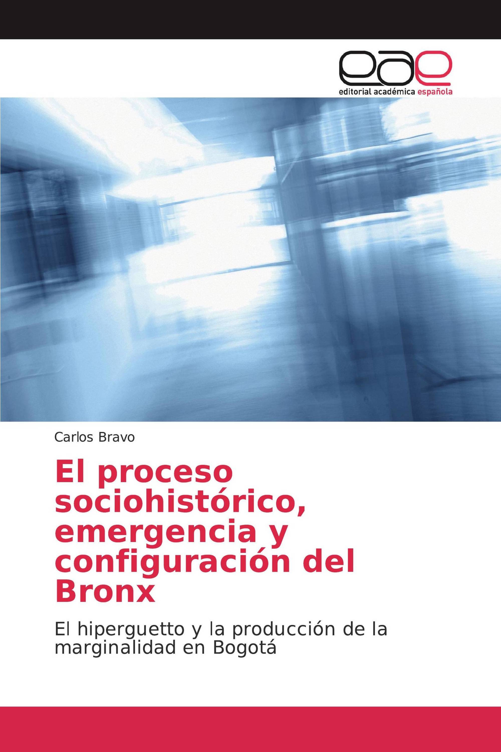 El proceso sociohistórico, emergencia y configuración del Bronx