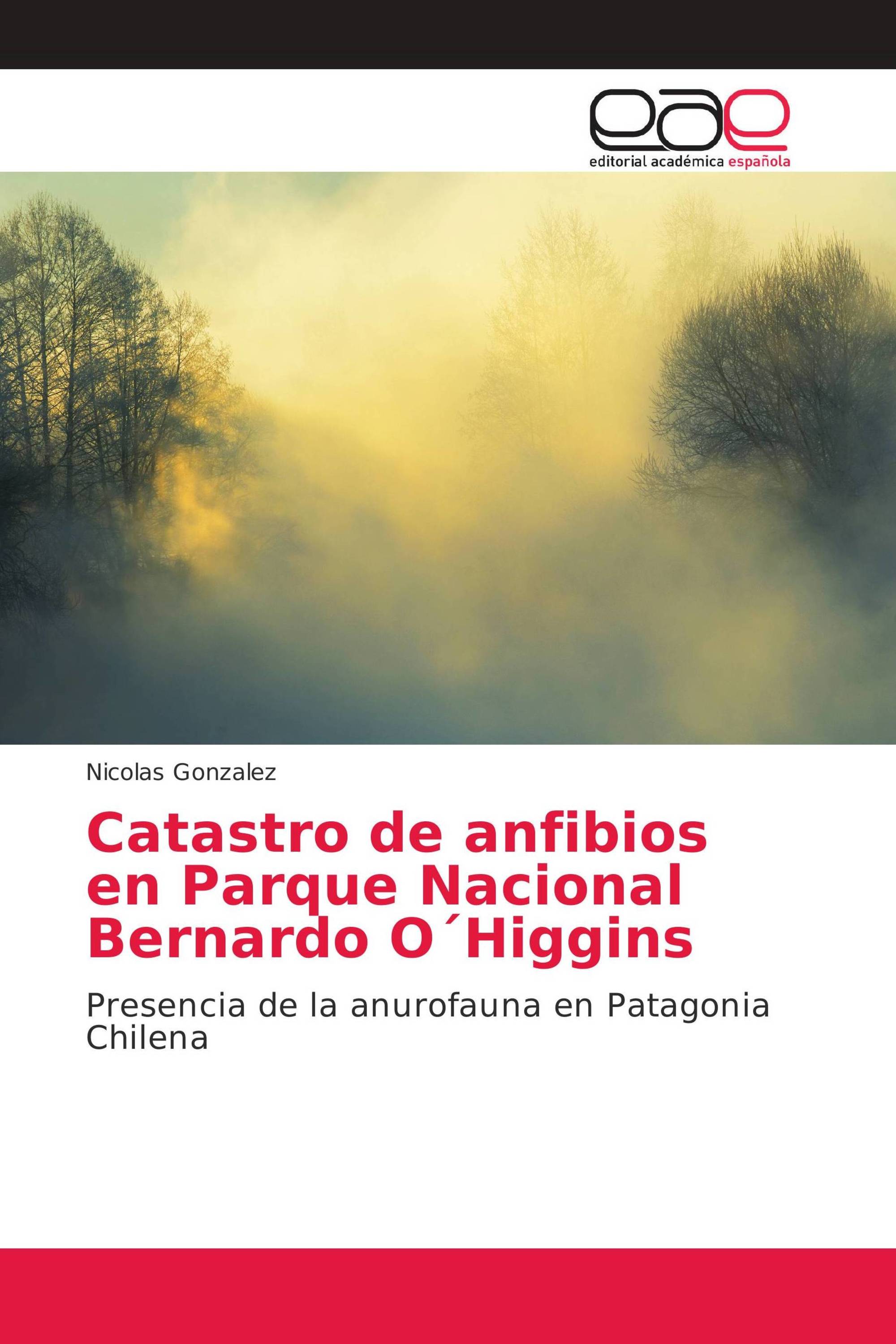 Catastro de anfibios en Parque Nacional Bernardo O´Higgins