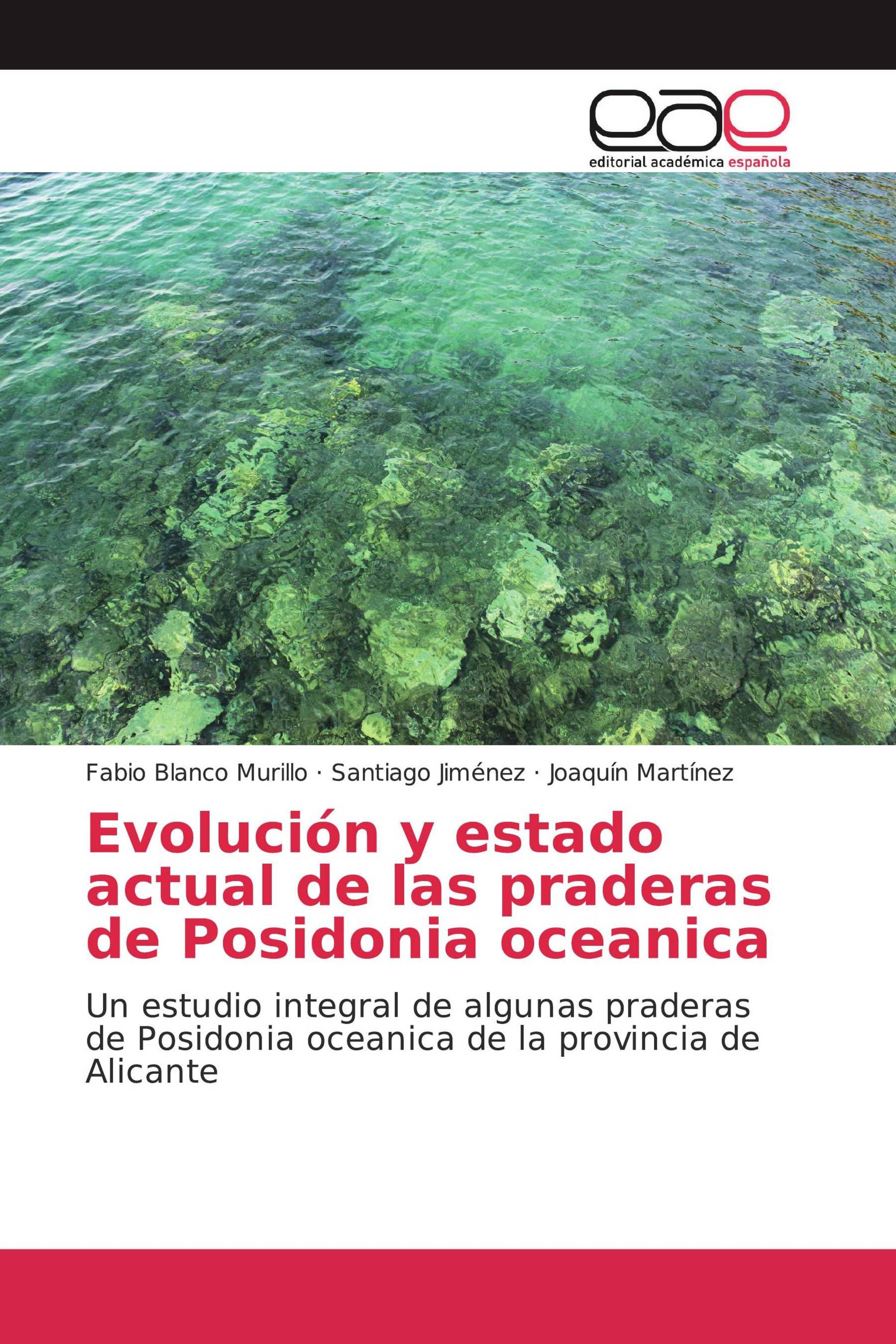 Evolución y estado actual de las praderas de Posidonia oceanica