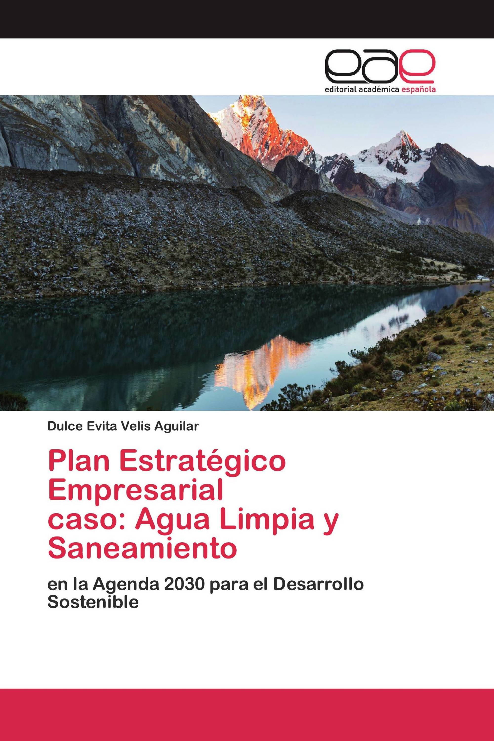 Plan Estratégico Empresarial caso: Agua Limpia y Saneamiento