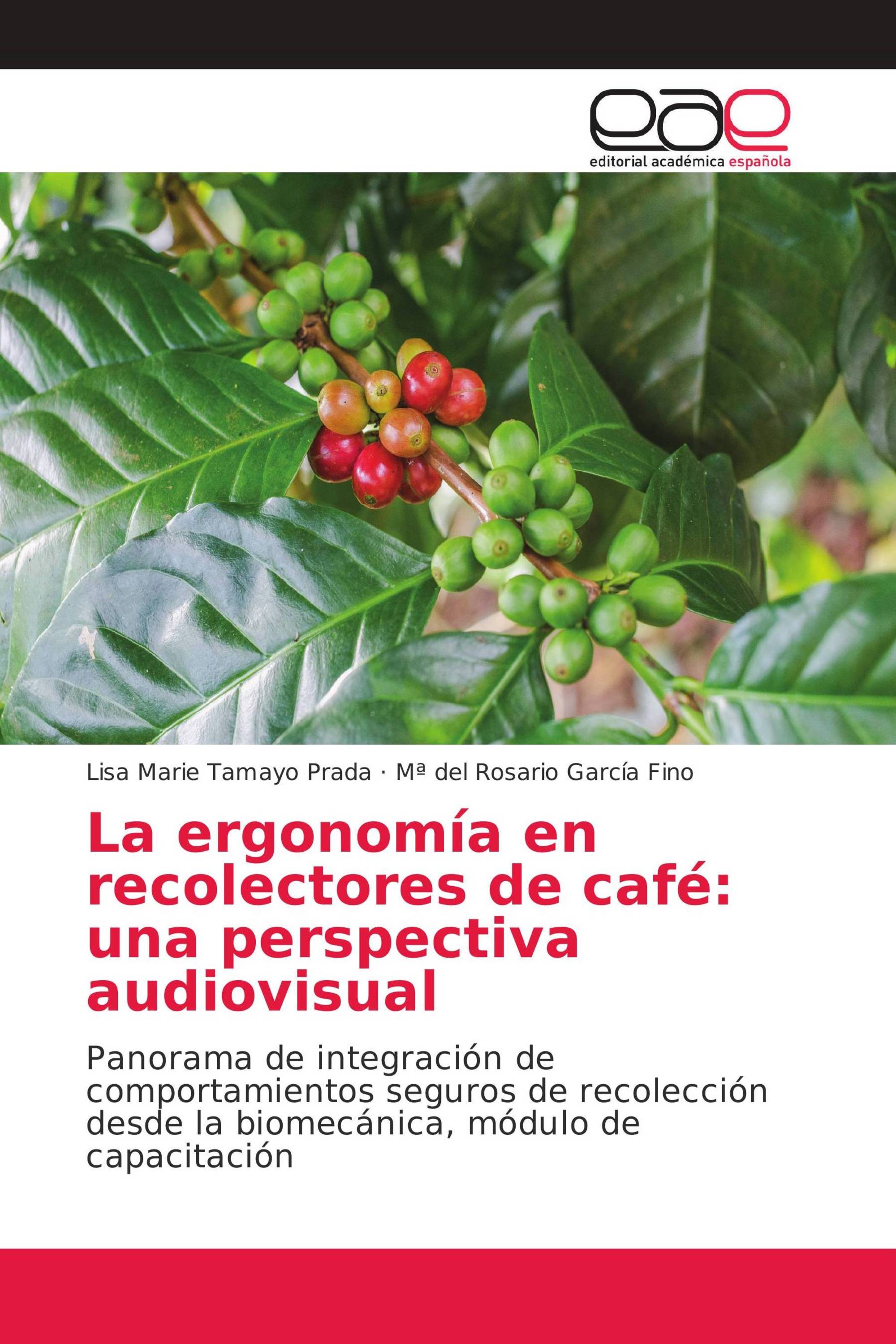 La ergonomía en recolectores de café: una perspectiva audiovisual