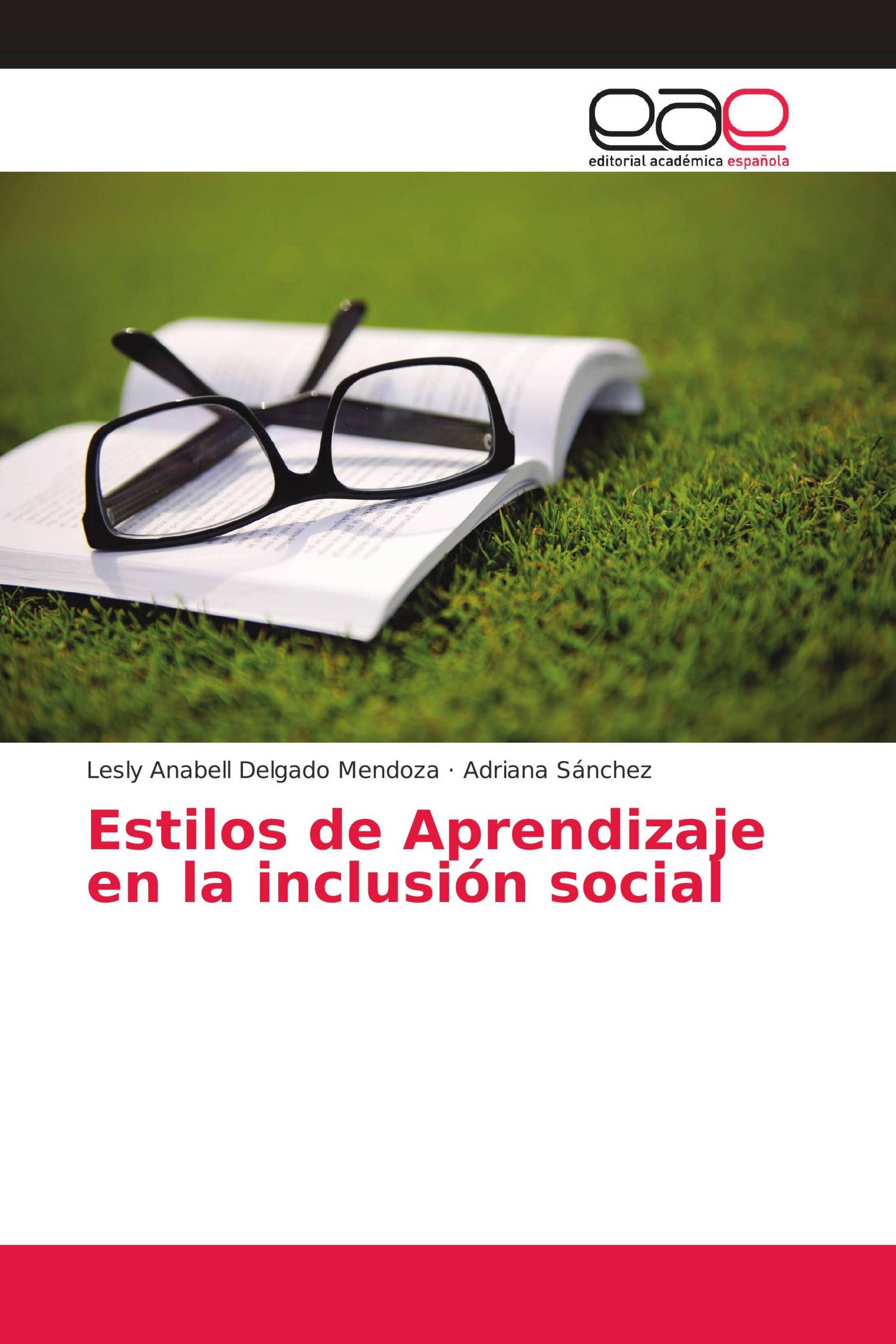 Estilos de Aprendizaje en la inclusión social