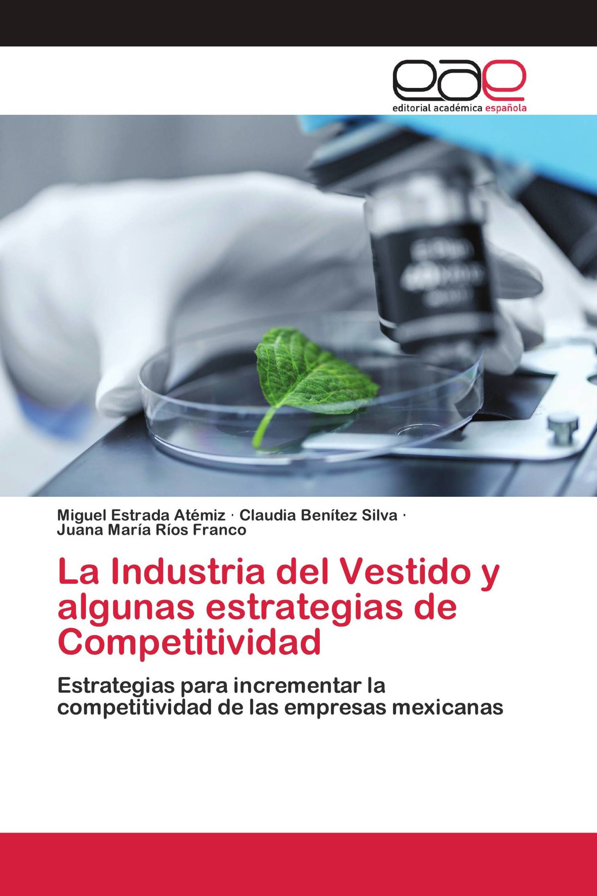 La Industria del Vestido y algunas estrategias de Competitividad