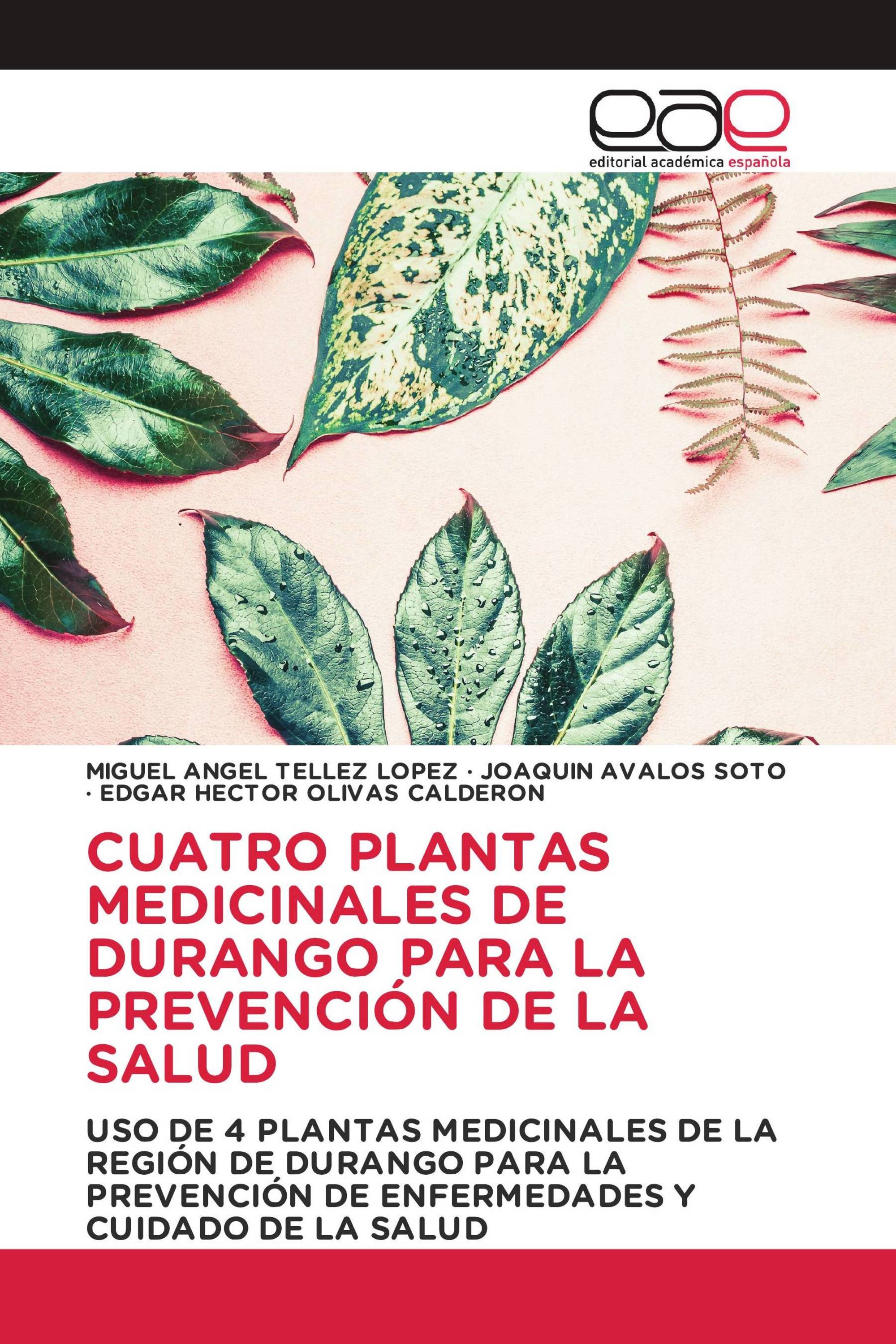 CUATRO PLANTAS MEDICINALES DE DURANGO PARA LA PREVENCIÓN DE LA SALUD