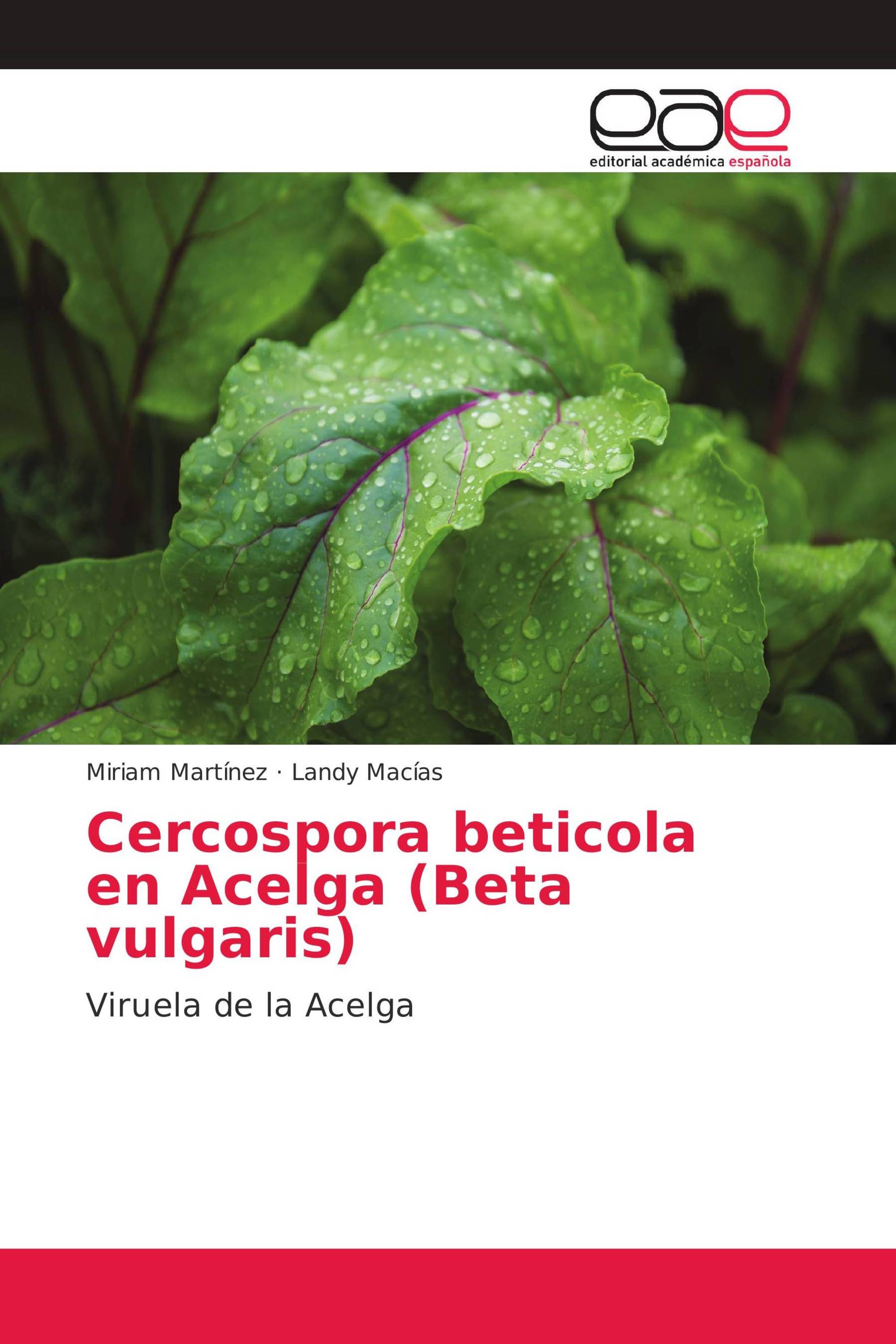 Cercospora beticola en Acelga (Beta vulgaris)