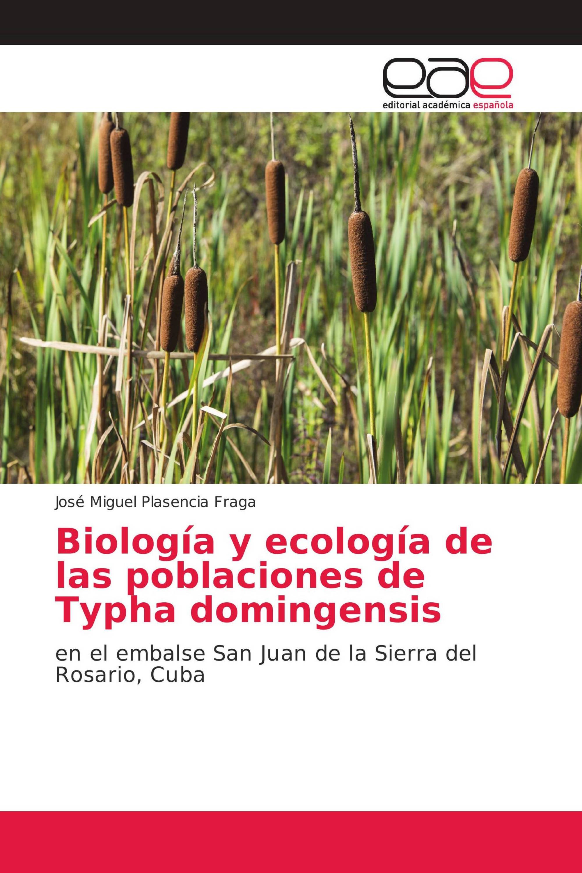 Biología y ecología de las poblaciones de Typha domingensis