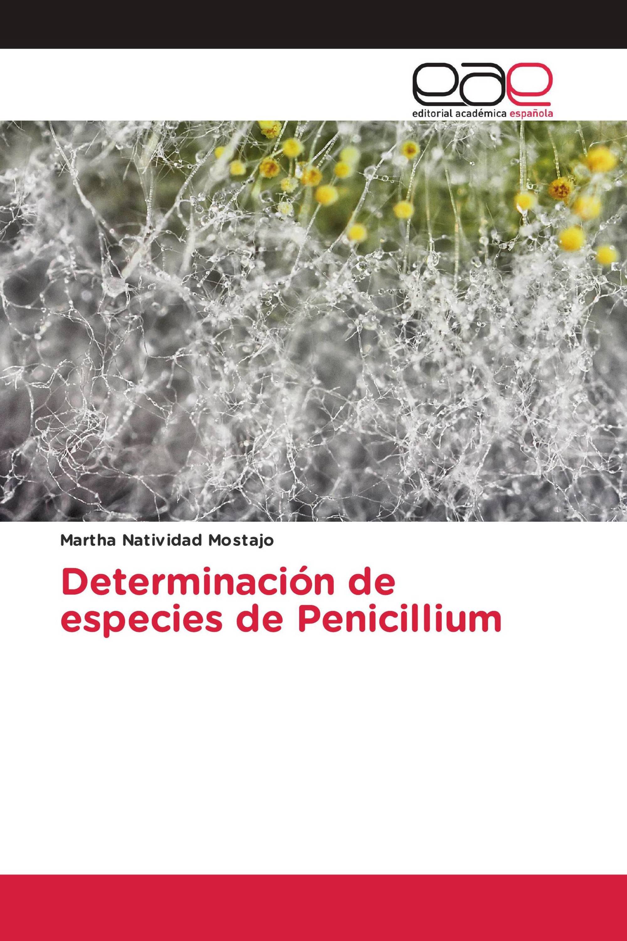 Determinación de especies de Penicillium