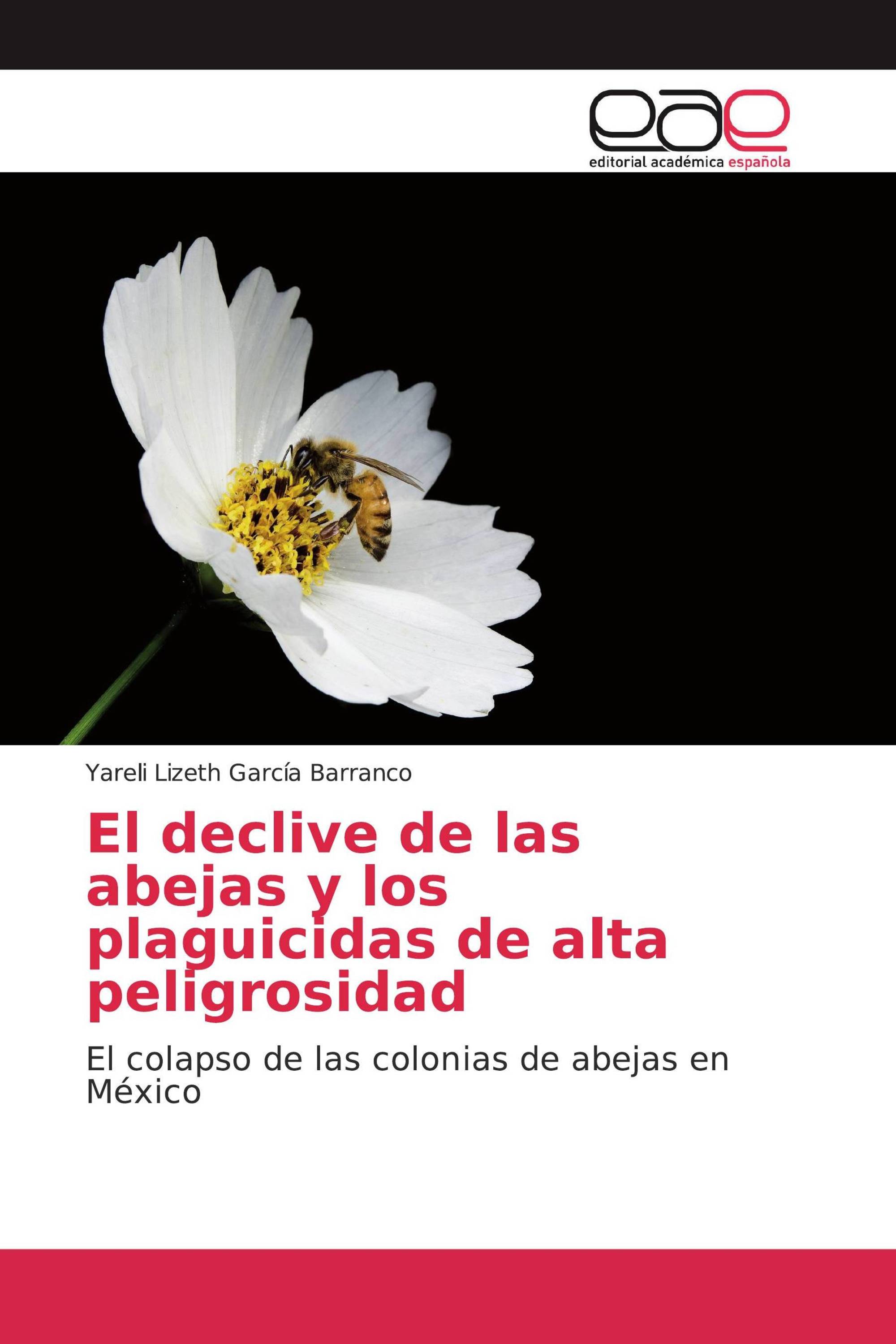 El declive de las abejas y los plaguicidas de alta peligrosidad