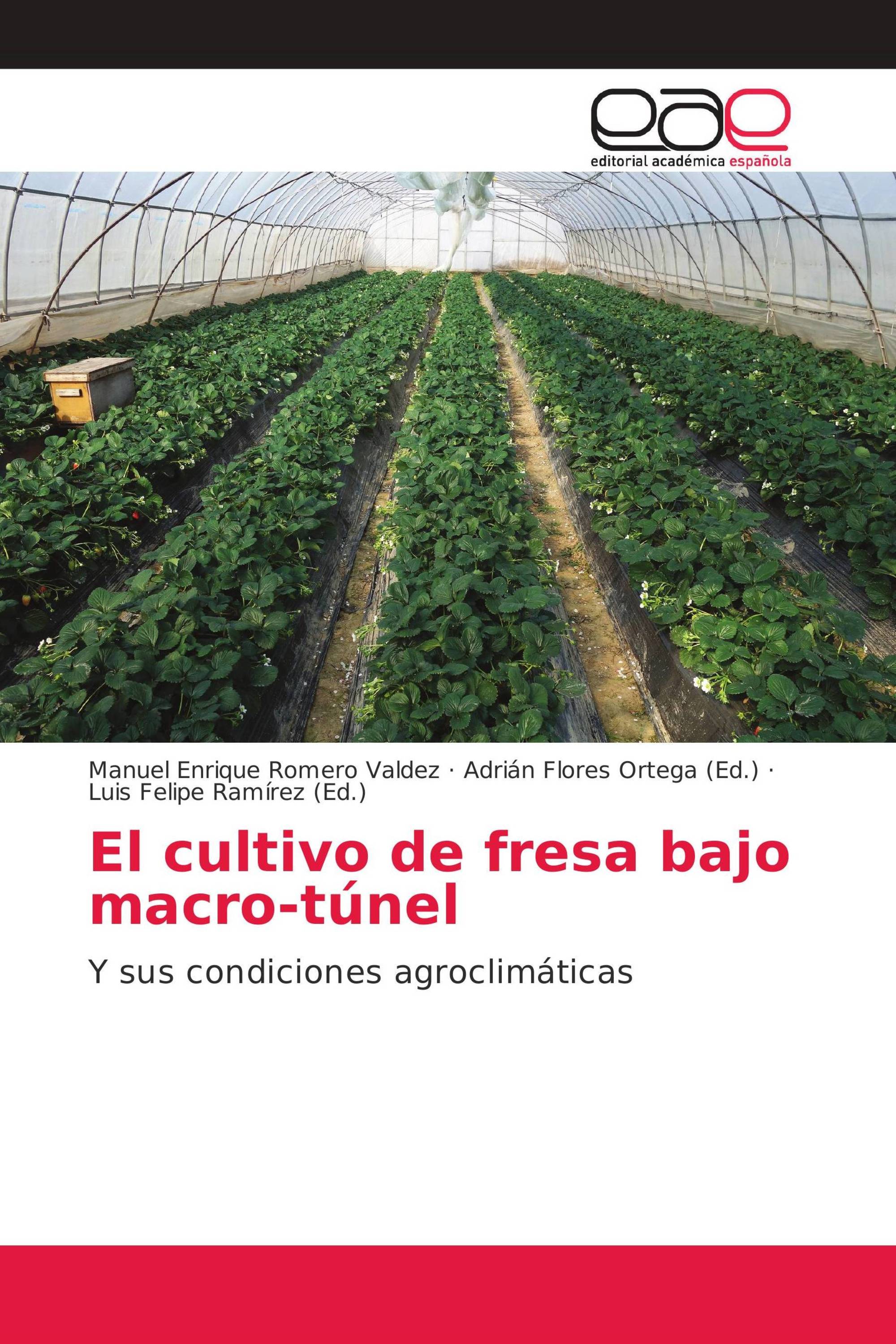 El cultivo de fresa bajo macro-túnel