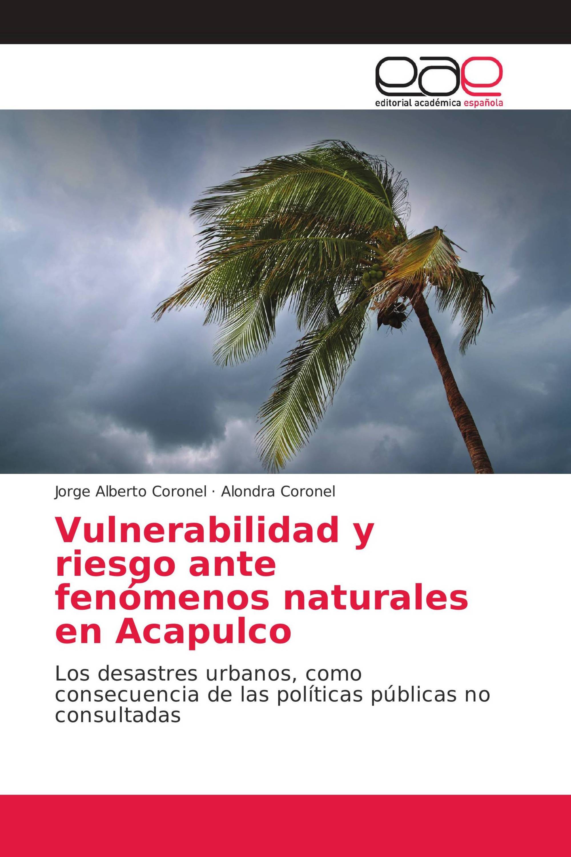 Vulnerabilidad y riesgo ante fenómenos naturales en Acapulco