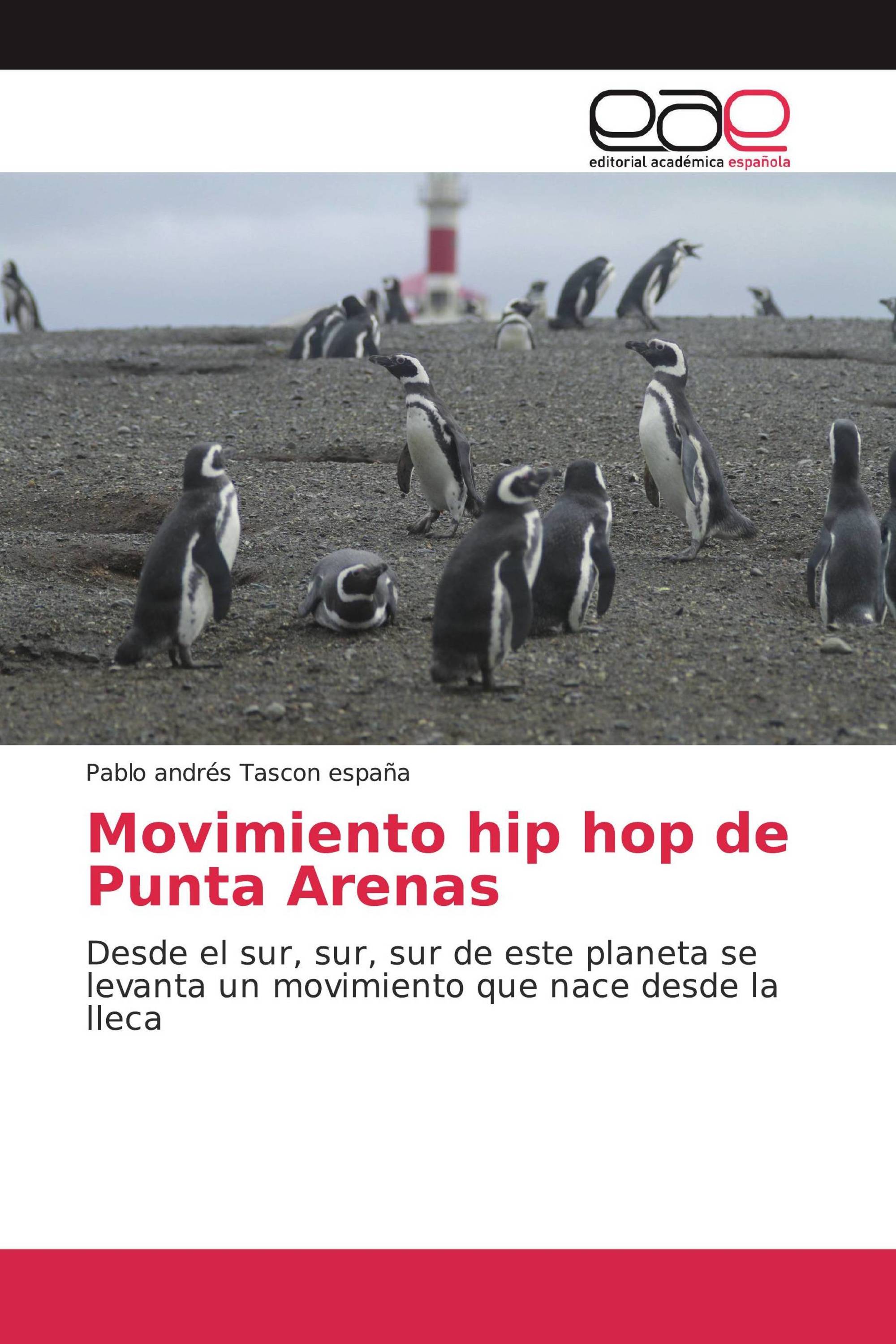 Movimiento hip hop de Punta Arenas