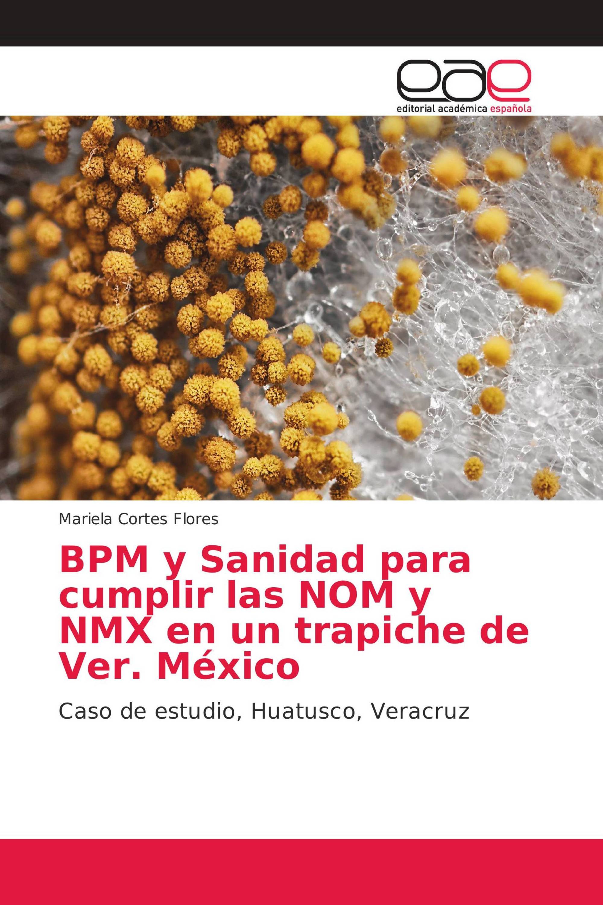 BPM y Sanidad para cumplir las NOM y NMX en un trapiche de Ver. México