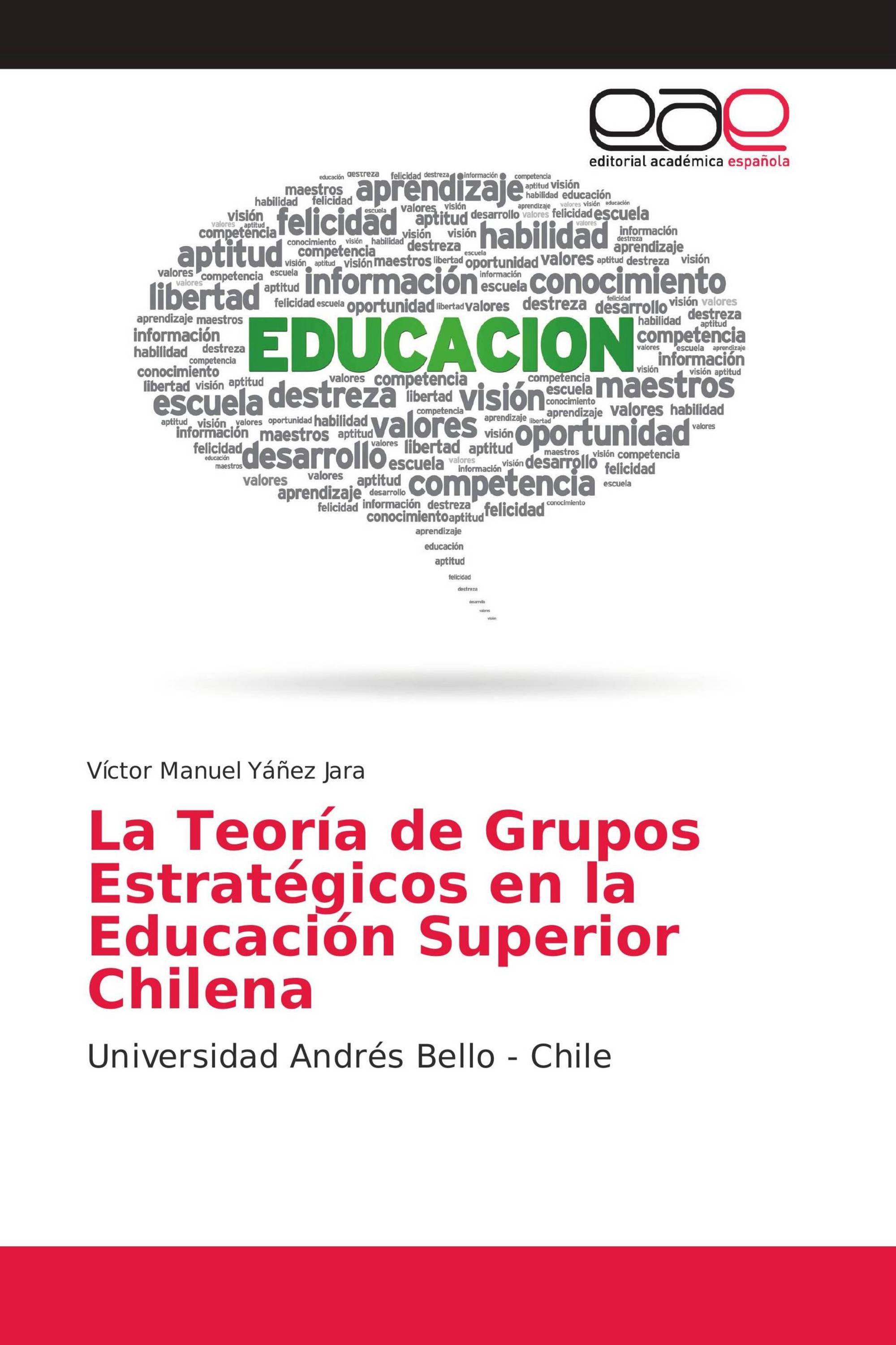 La Teoría de Grupos Estratégicos en la Educación Superior Chilena