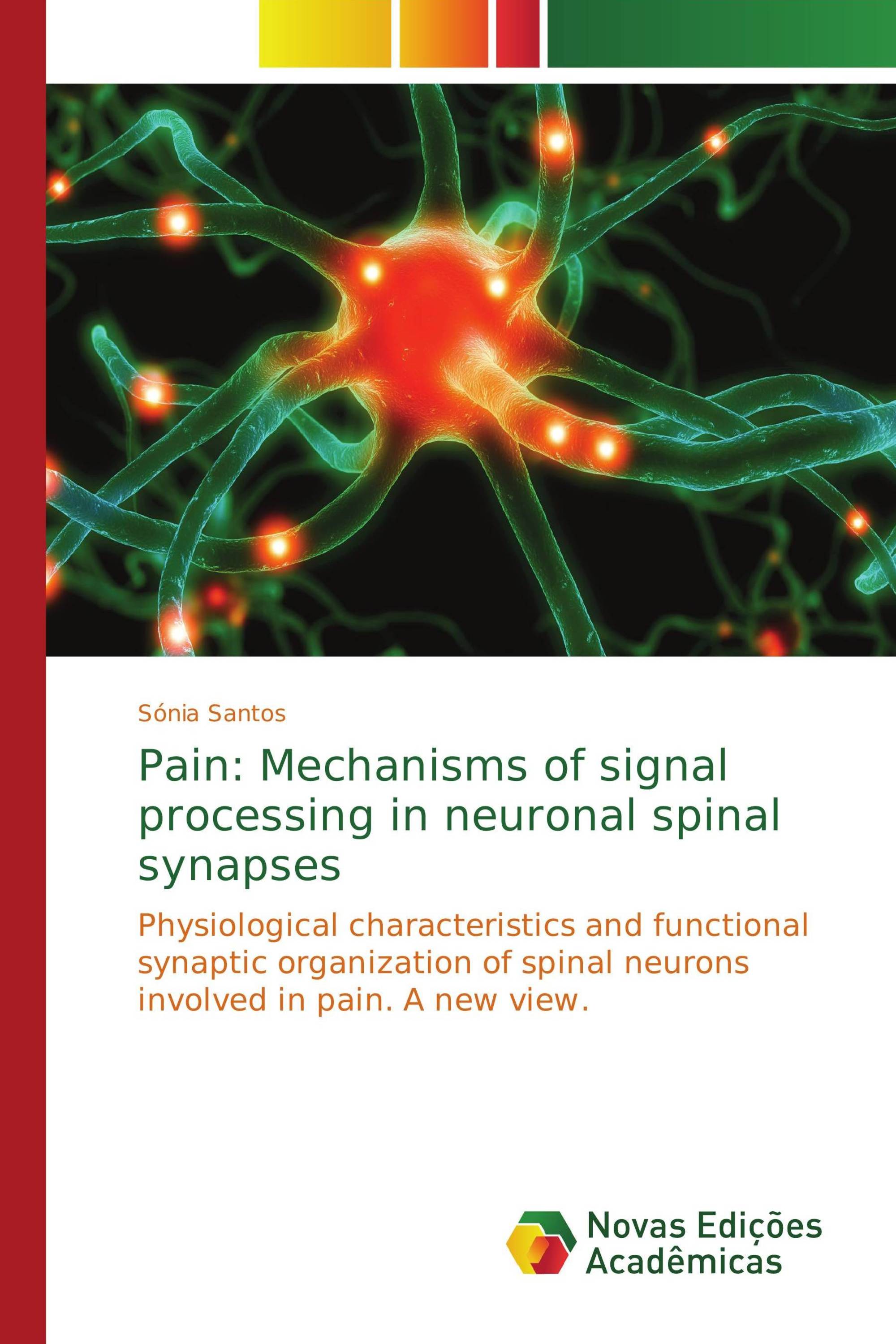 Pain: Mechanisms of signal processing in neuronal spinal synapses