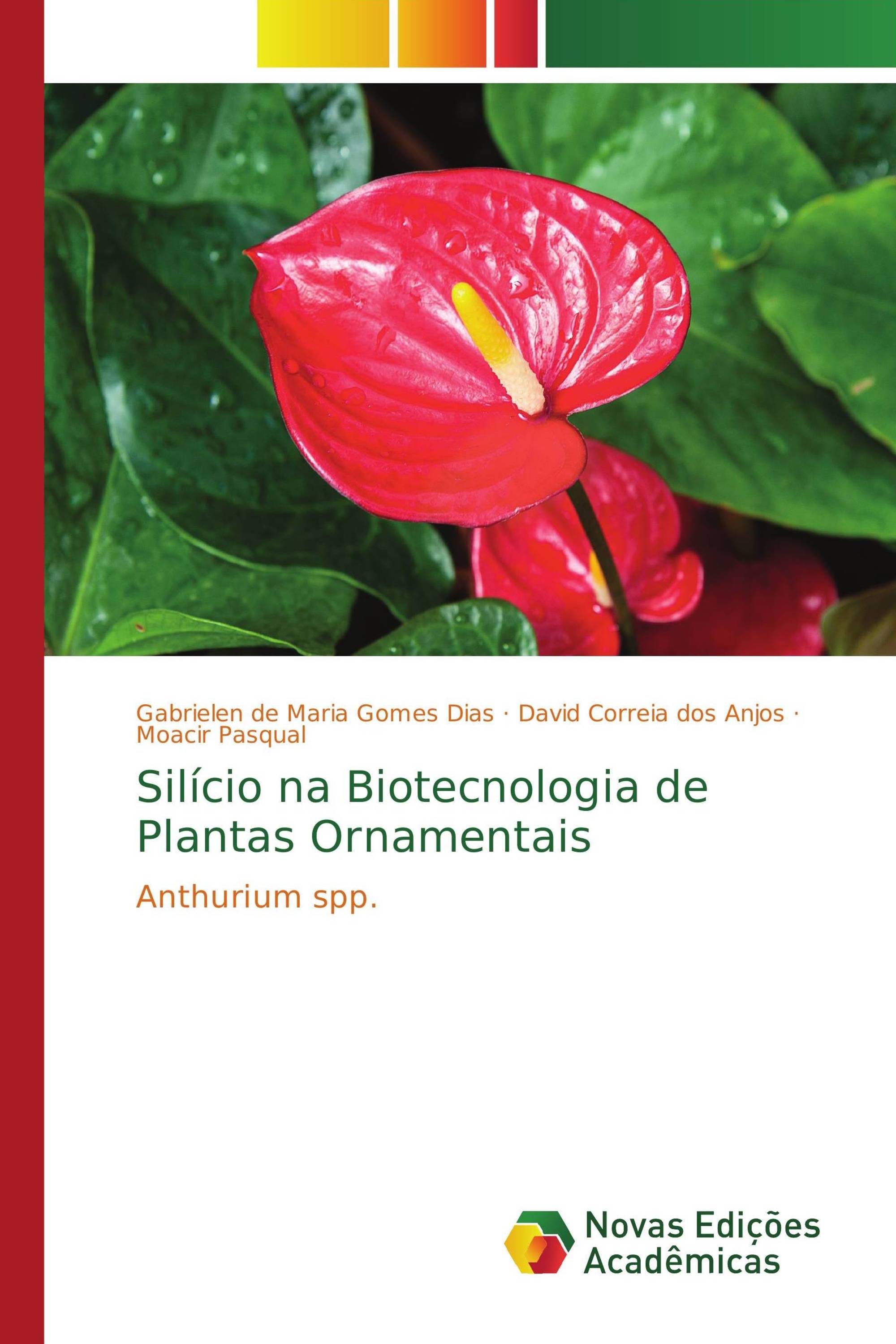 Silício na Biotecnologia de Plantas Ornamentais