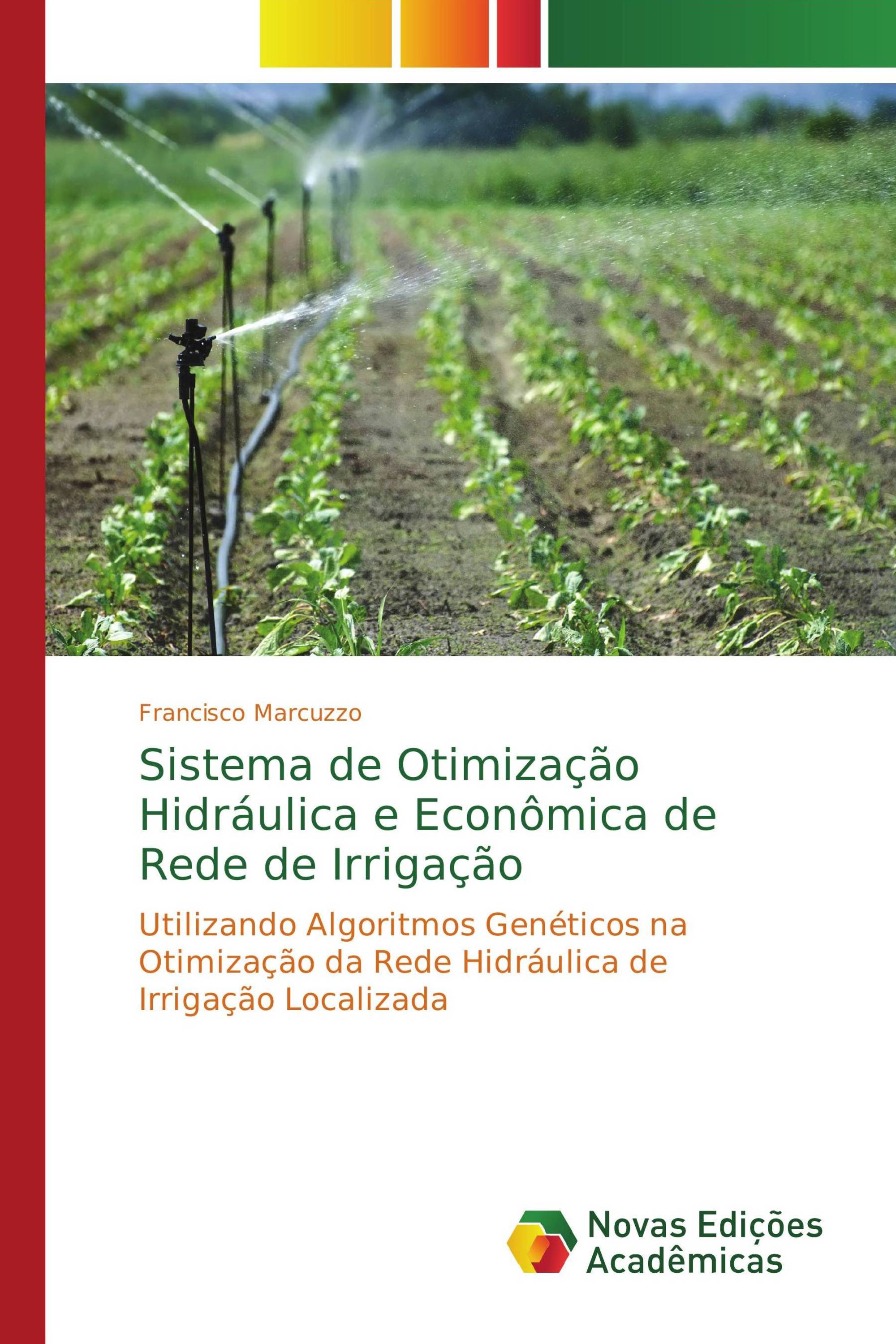 Sistema de Otimização Hidráulica e Econômica de Rede de Irrigação