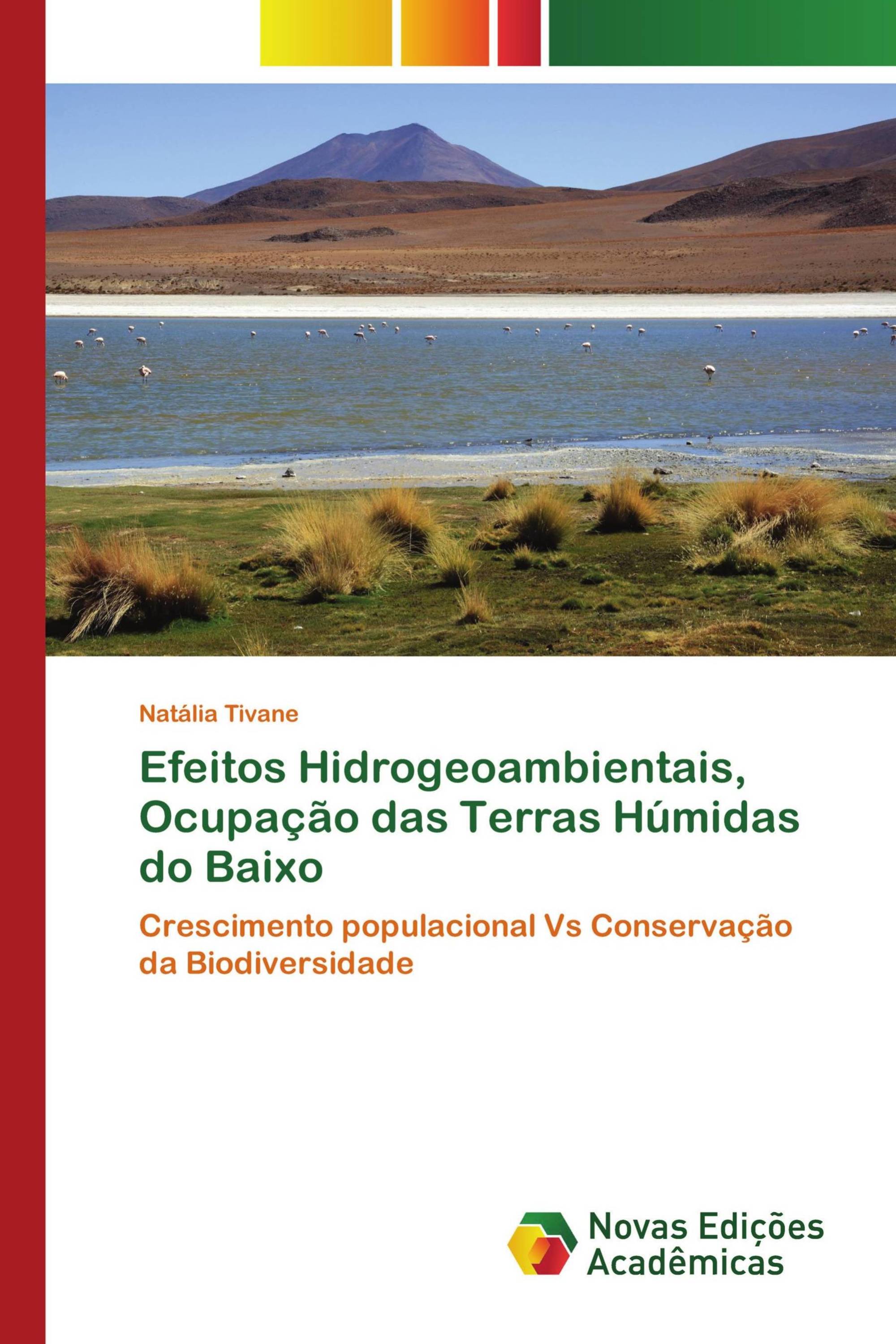 Efeitos Hidrogeoambientais, Ocupação das Terras Húmidas do Baixo