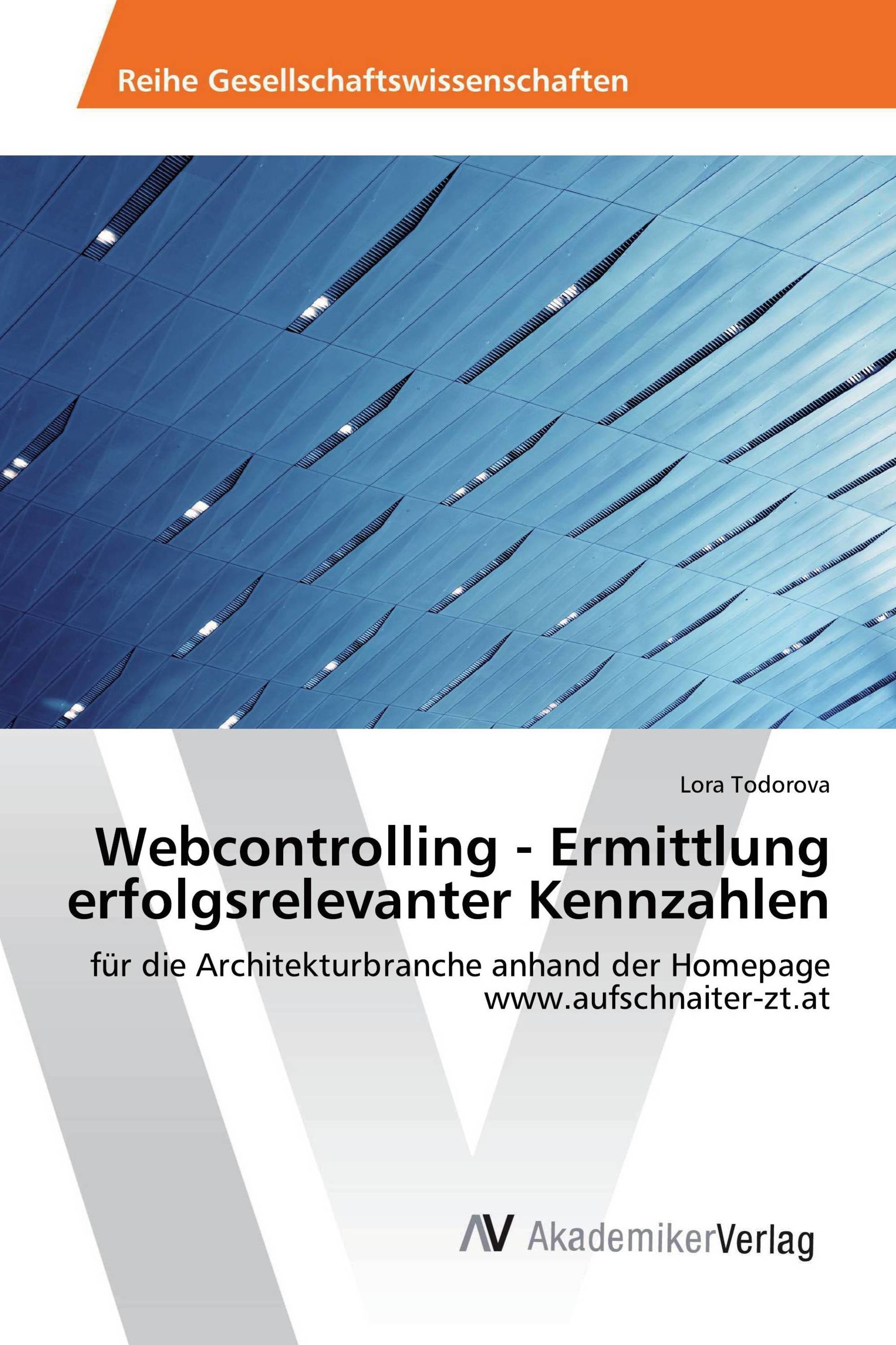 Webcontrolling - Ermittlung erfolgsrelevanter Kennzahlen