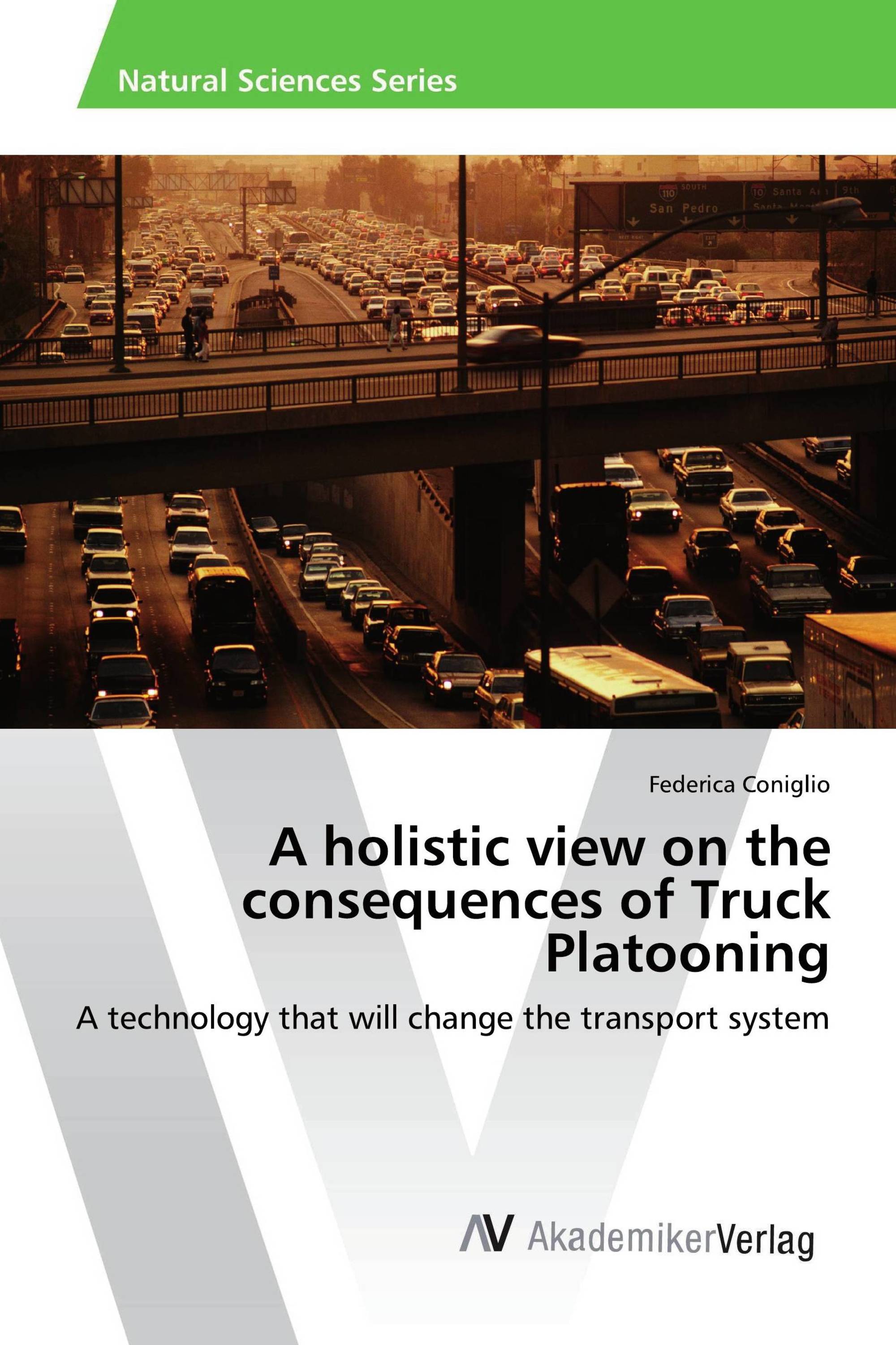 A holistic view on the consequences of Truck Platooning