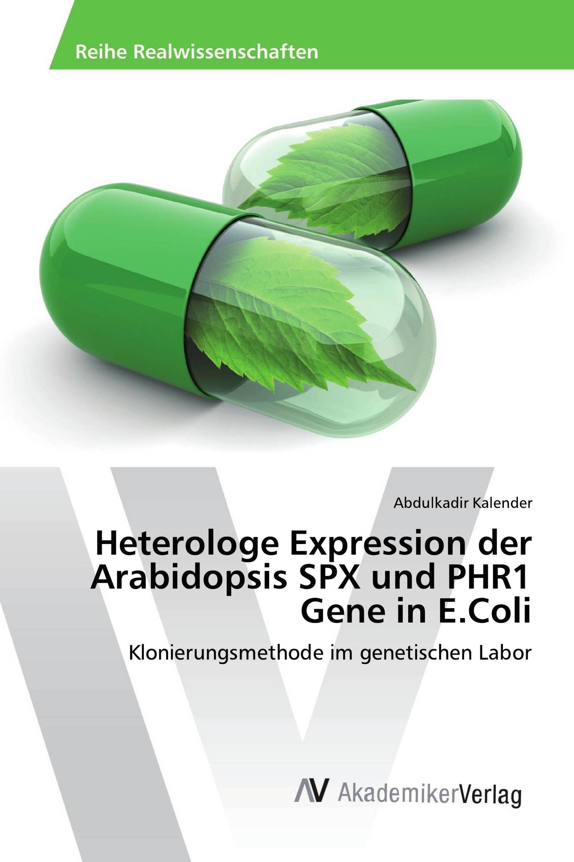 Heterologe Expression der Arabidopsis SPX und PHR1 Gene in E.Coli