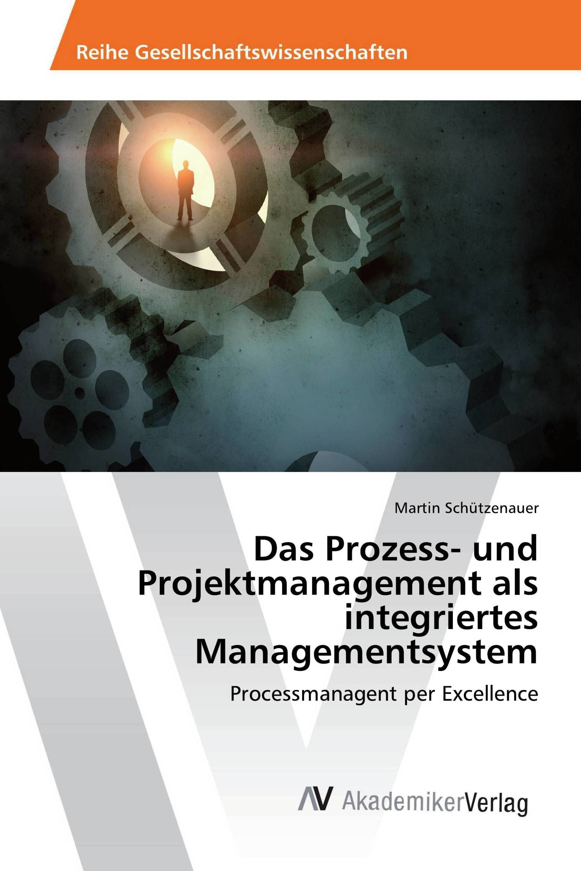 Das Prozess- und Projektmanagement als integriertes Managementsystem