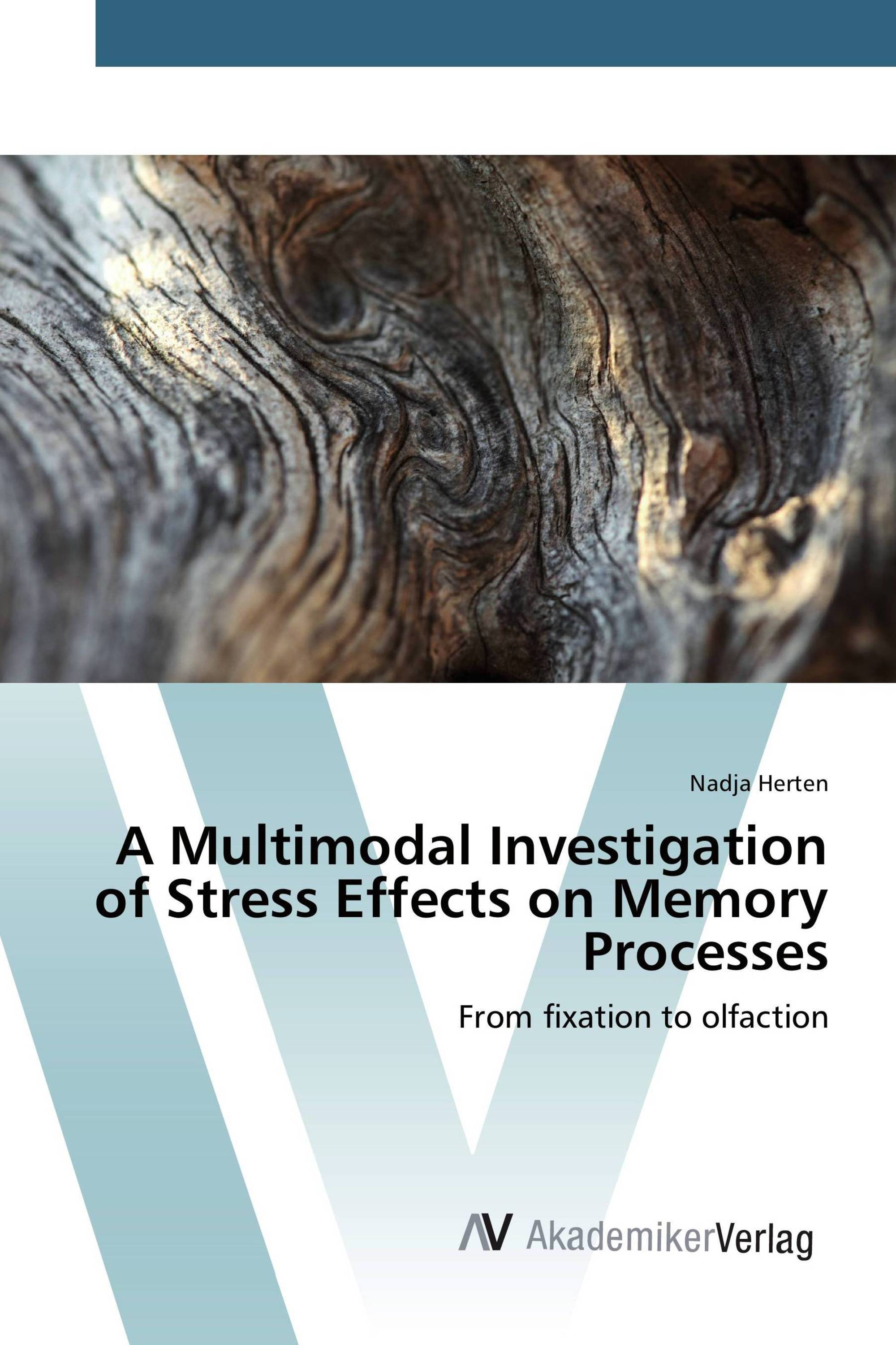 A Multimodal Investigation of Stress Effects on Memory Processes