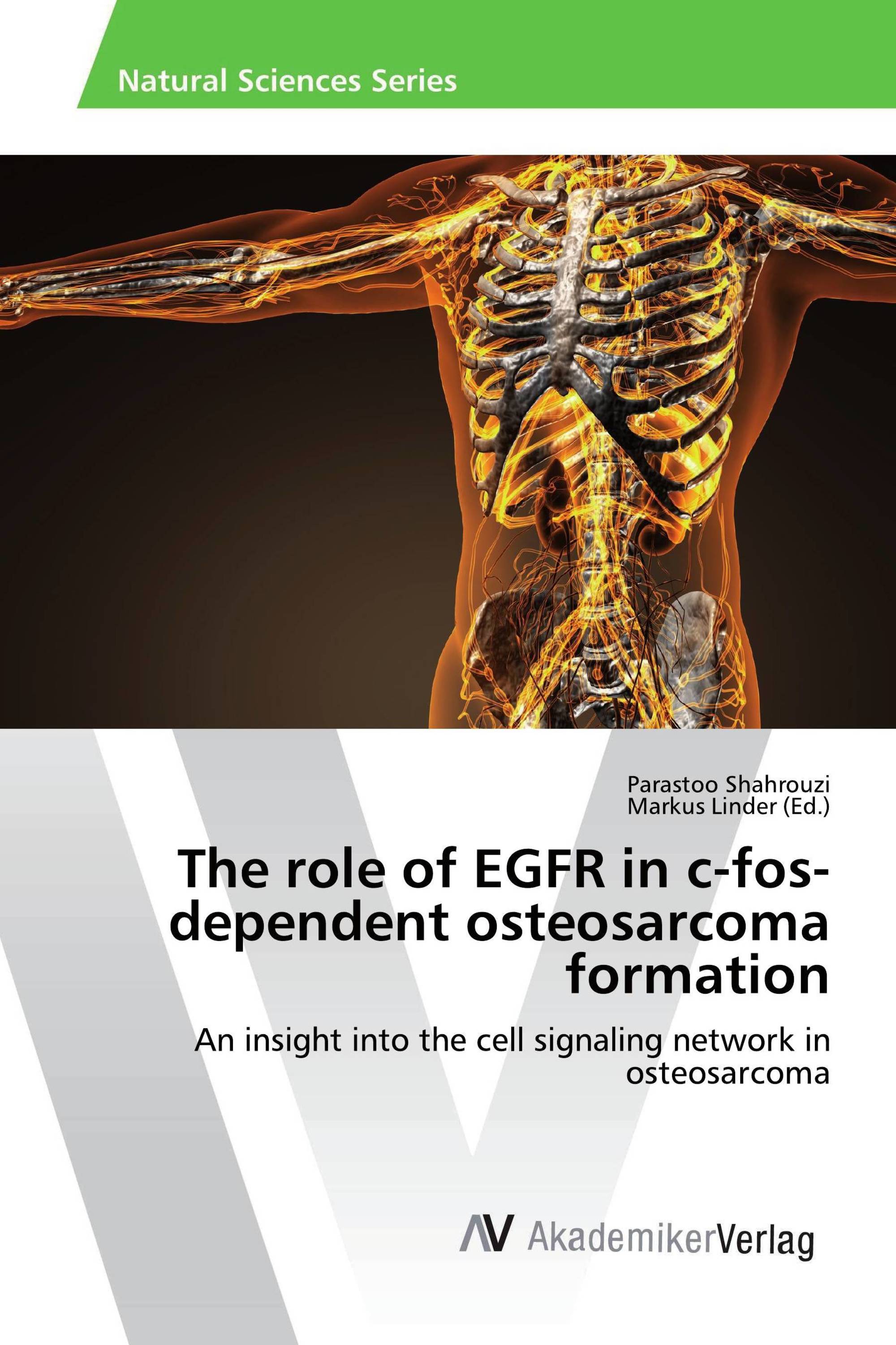 The role of EGFR in c-fos-dependent osteosarcoma formation