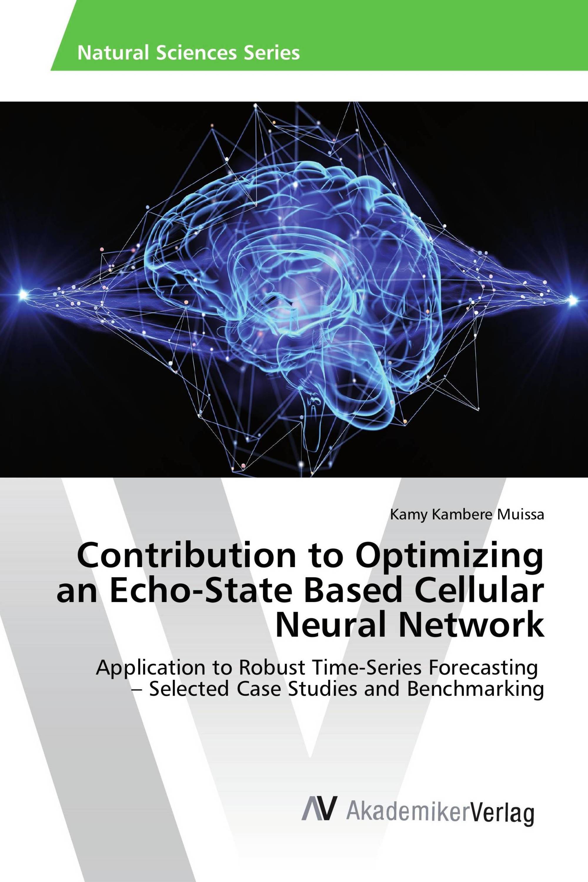 Contribution to Optimizing an Echo-State Based Cellular Neural Network