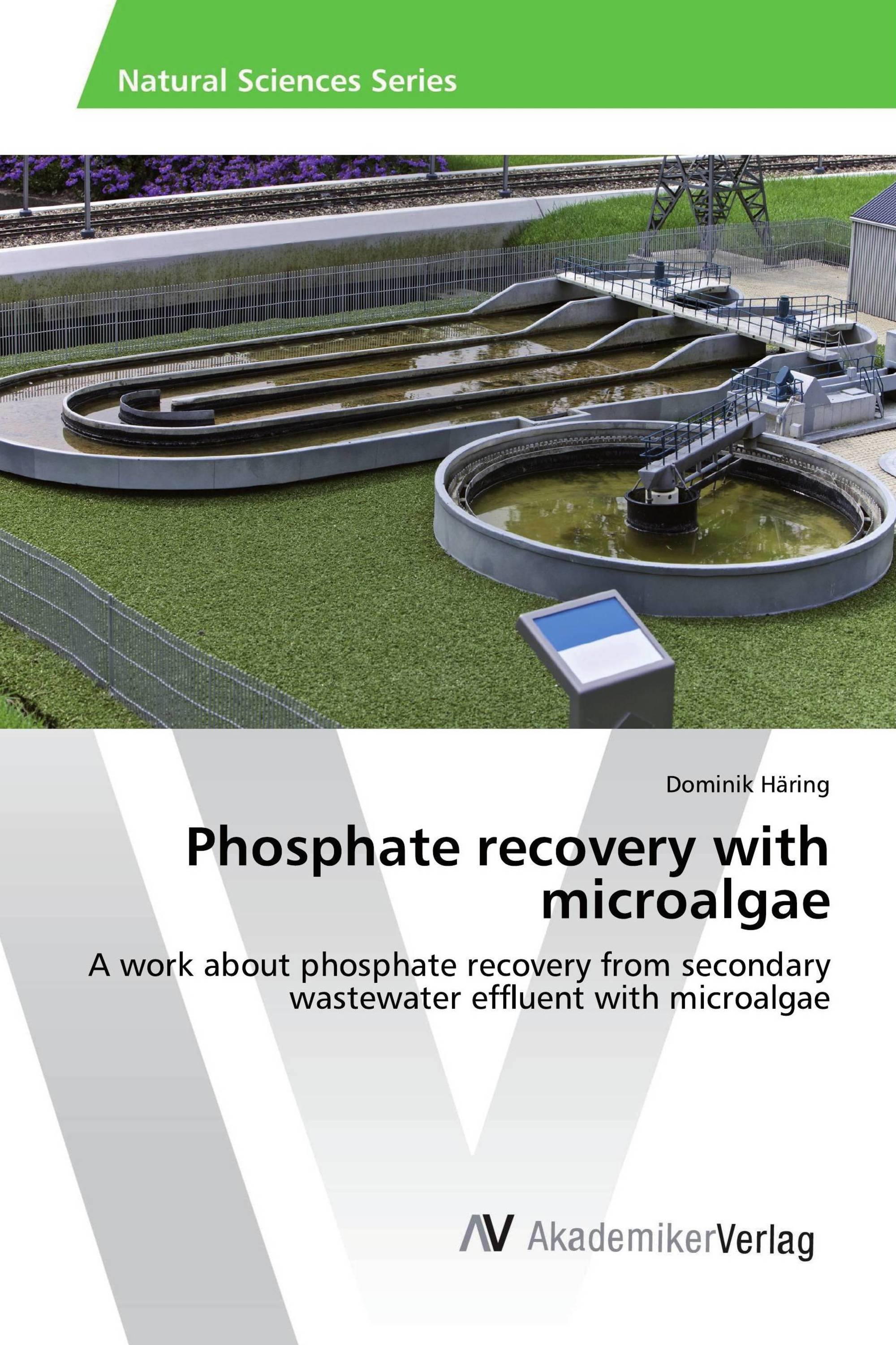 Phosphate recovery with microalgae