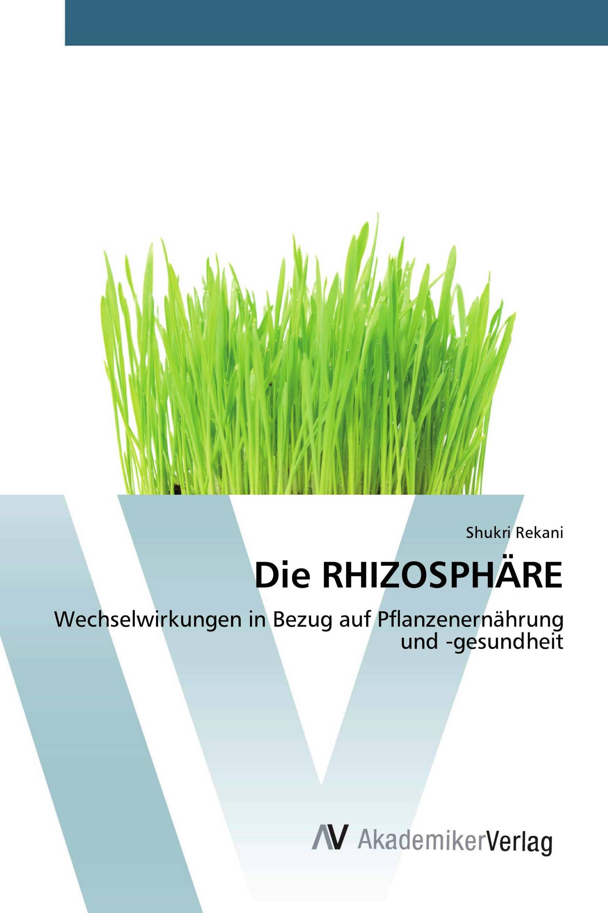 Die RHIZOSPHÄRE