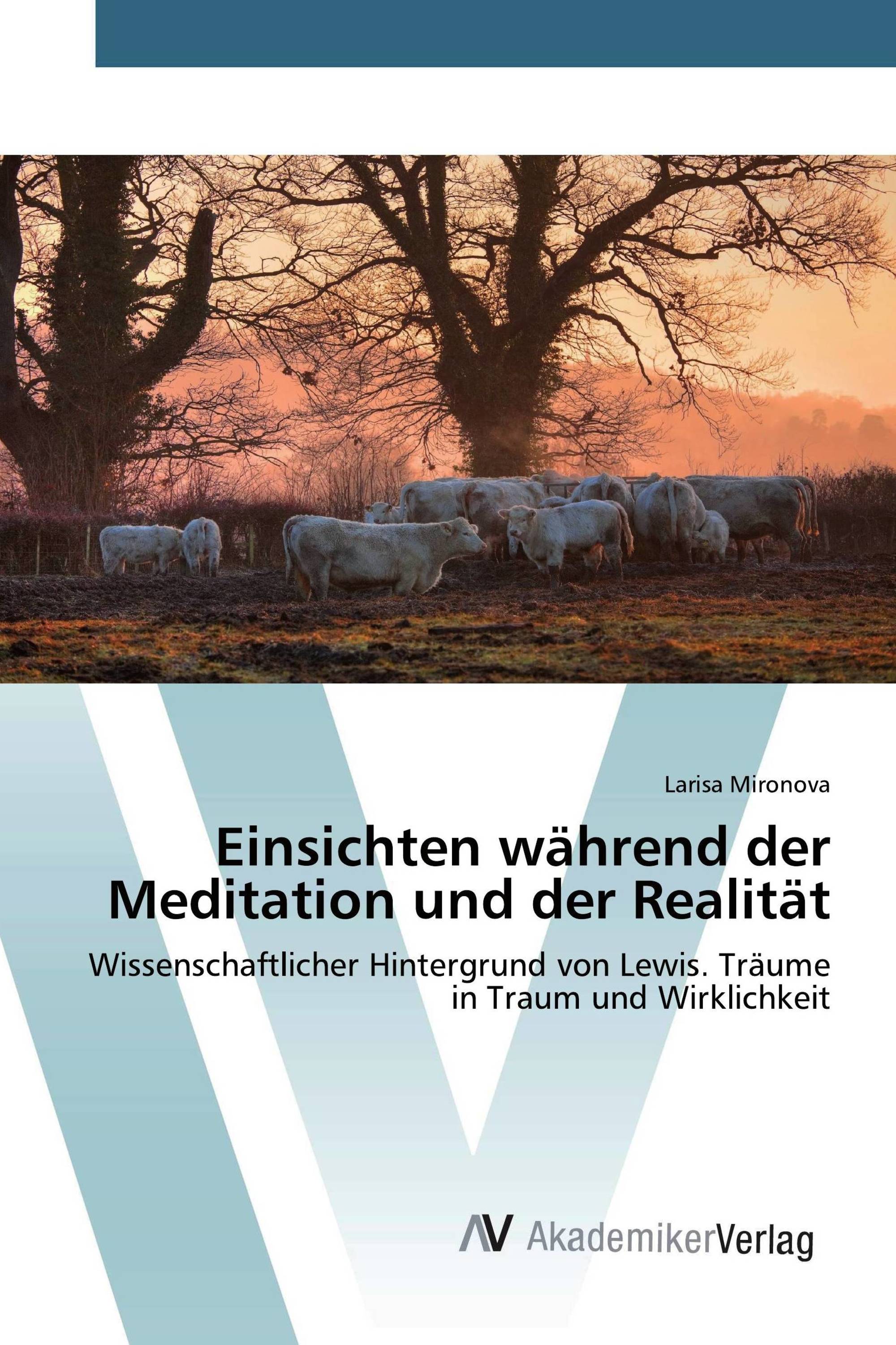 Einsichten während der Meditation und der Realität