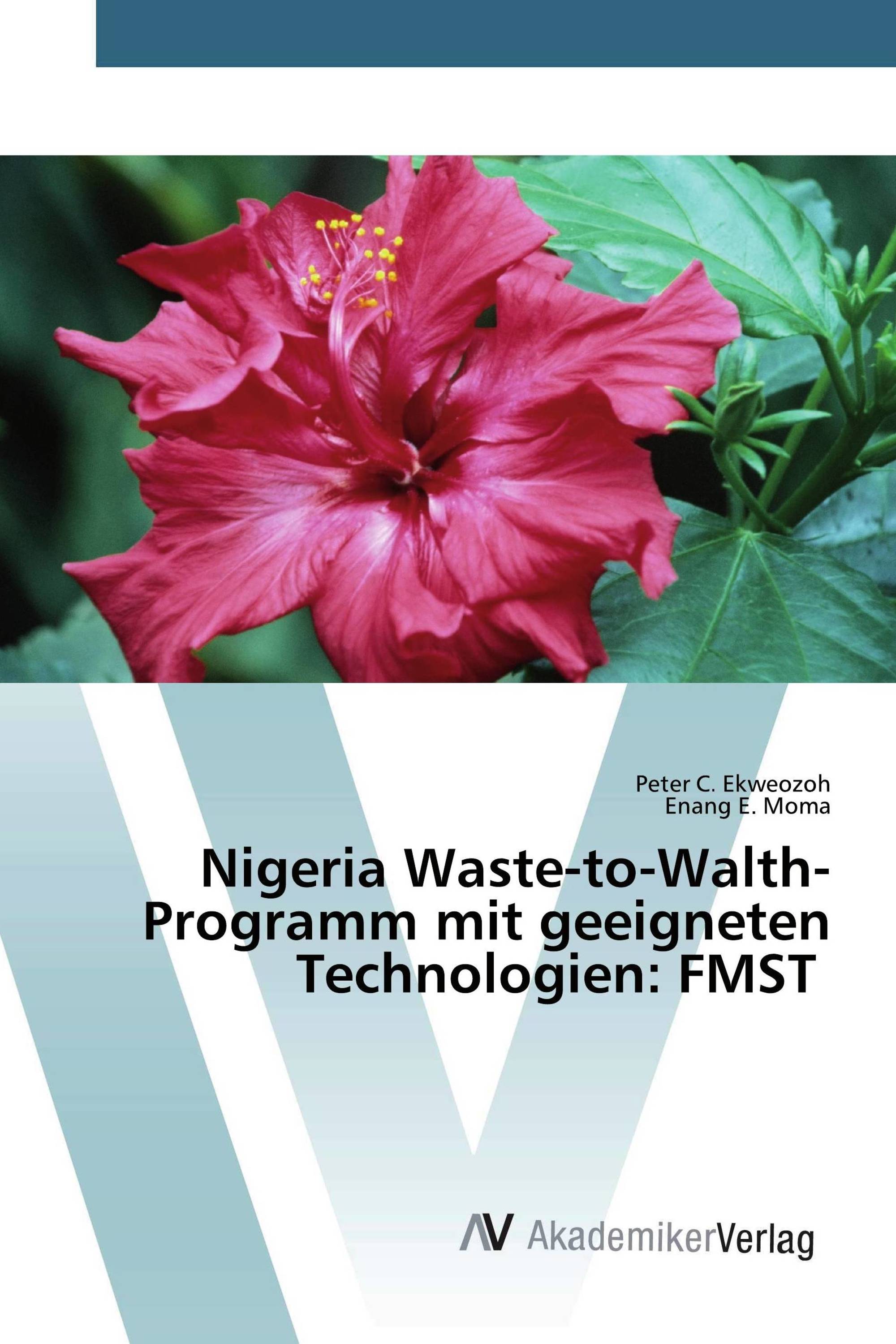 Nigeria Waste-to-Walth-Programm mit geeigneten Technologien: FMST