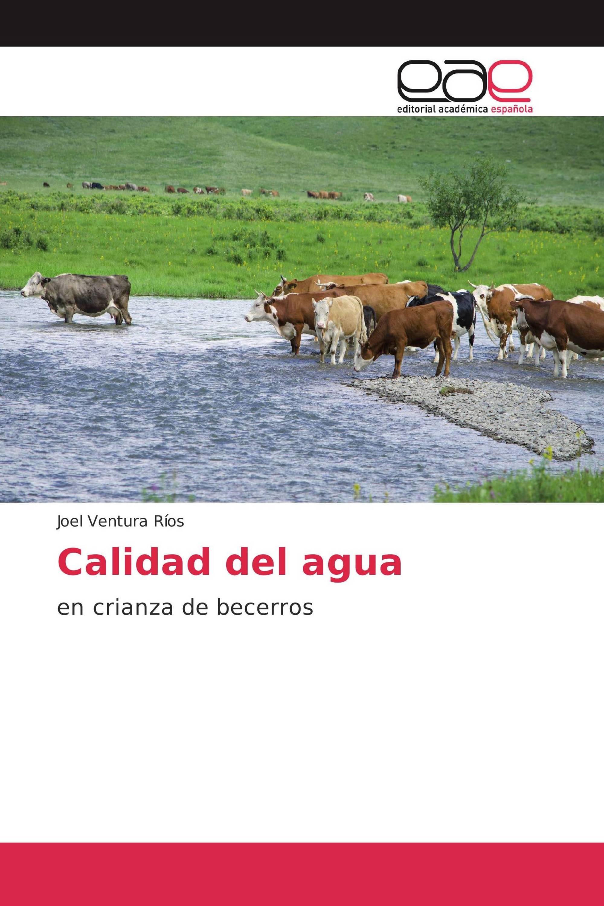 Calidad del agua