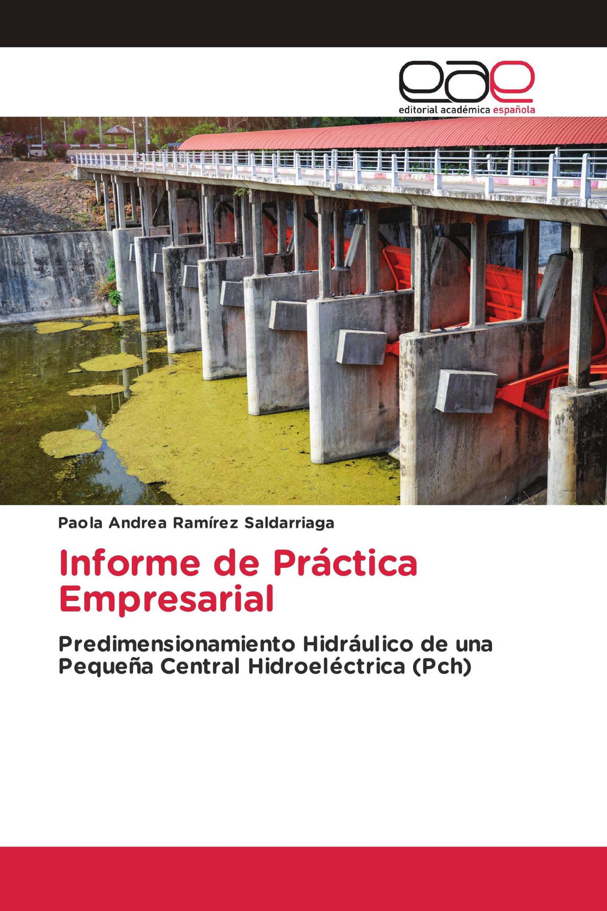 Informe de Práctica Empresarial