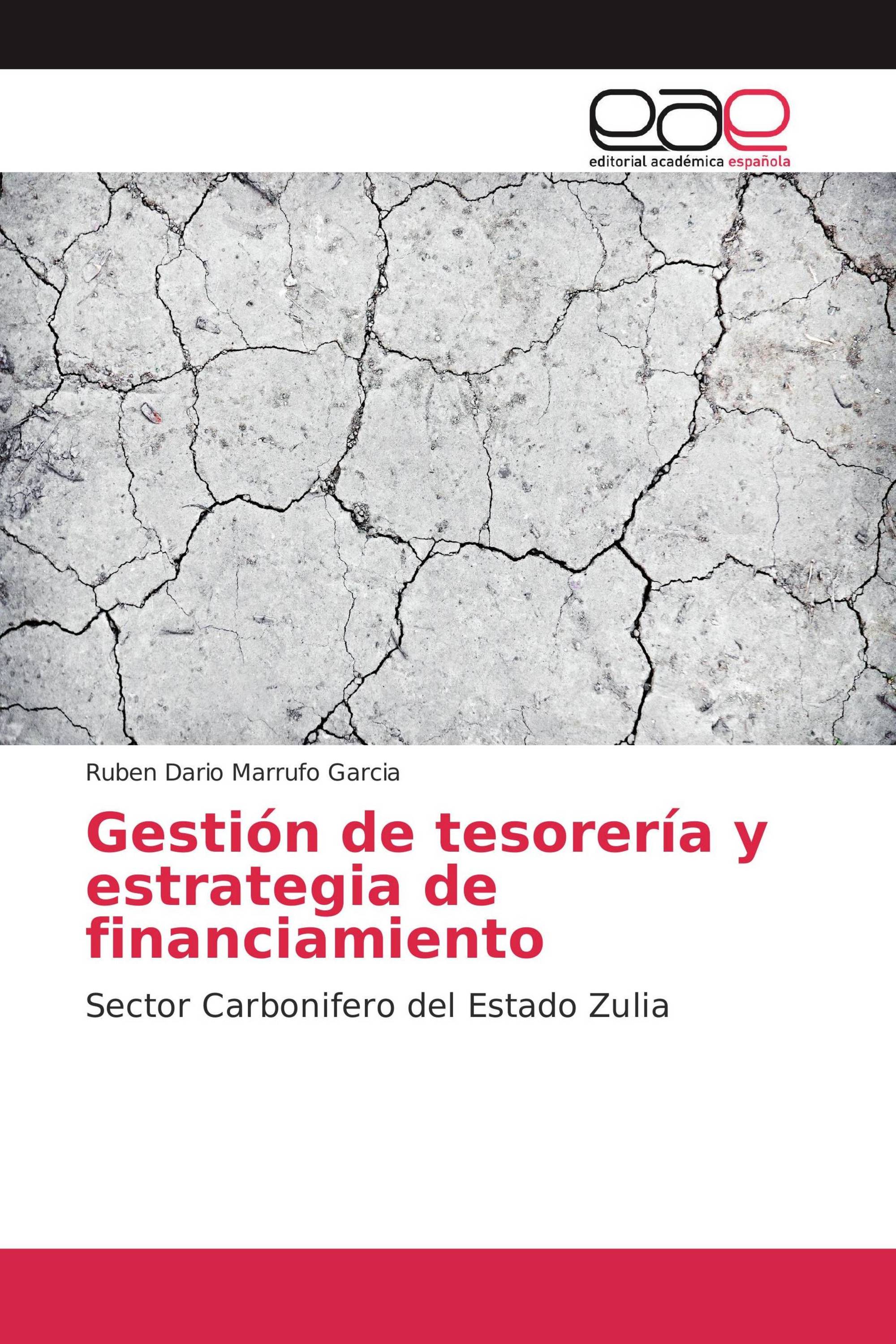 Gestión de tesorería y estrategia de financiamiento