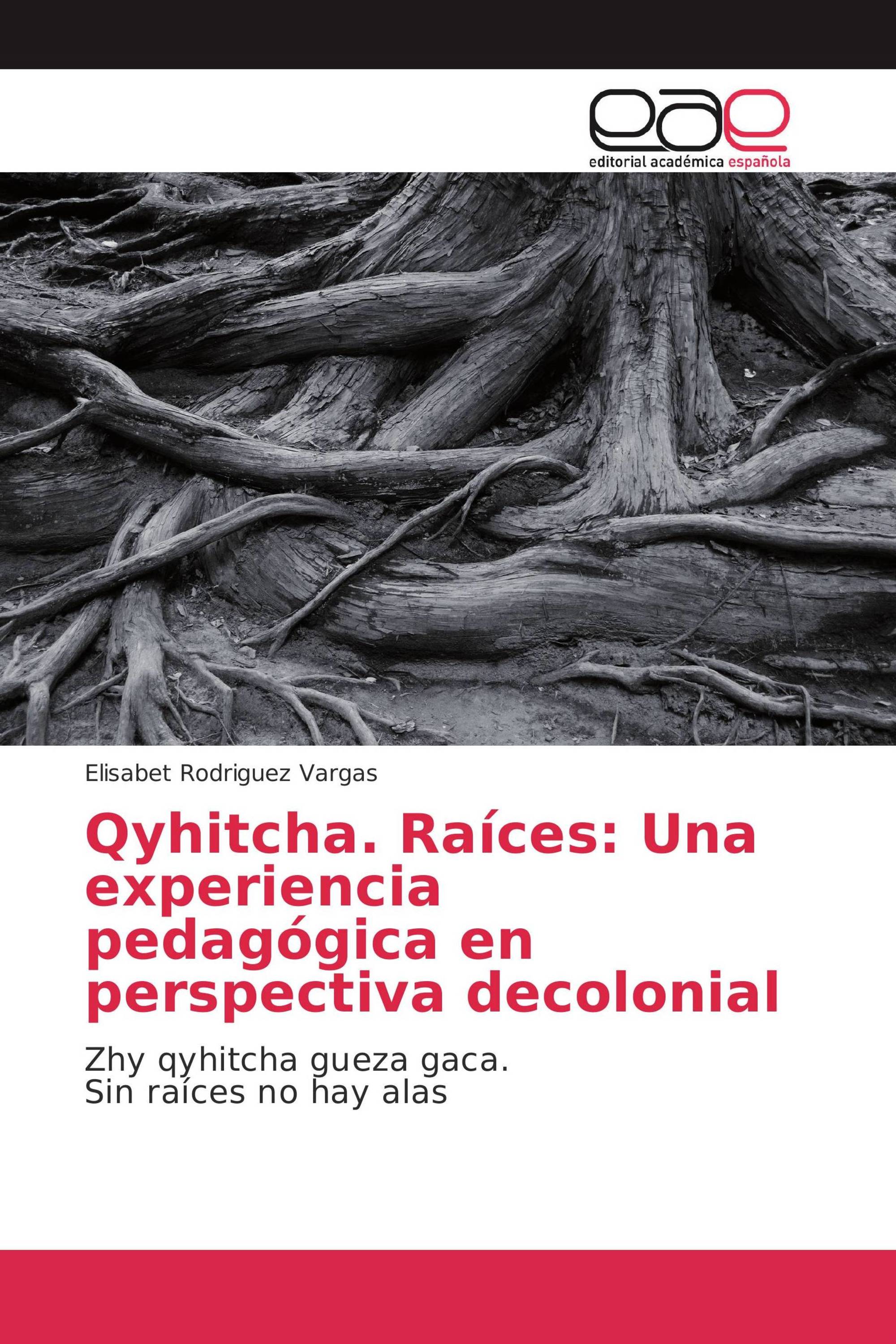 Qyhitcha. Raíces: Una experiencia pedagógica en perspectiva decolonial