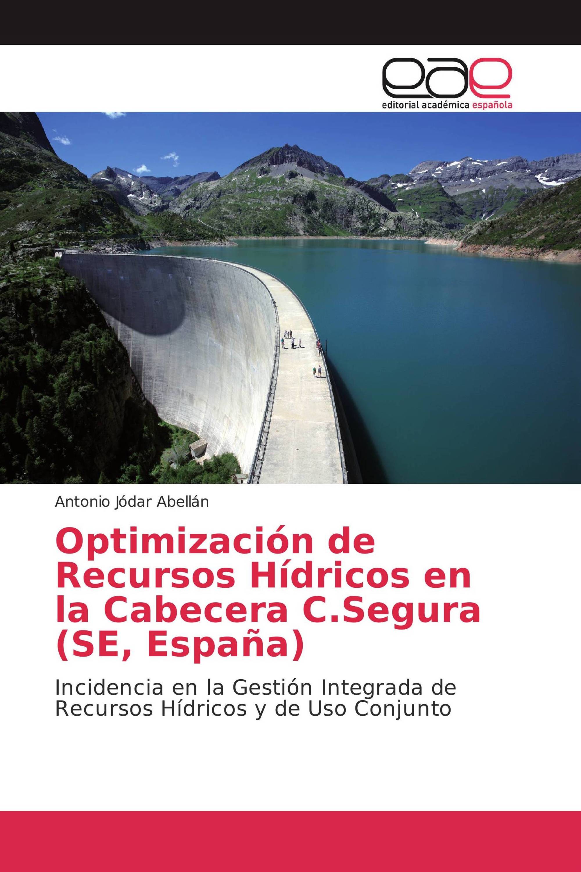 Optimización de Recursos Hídricos en la Cabecera C.Segura (SE, España)