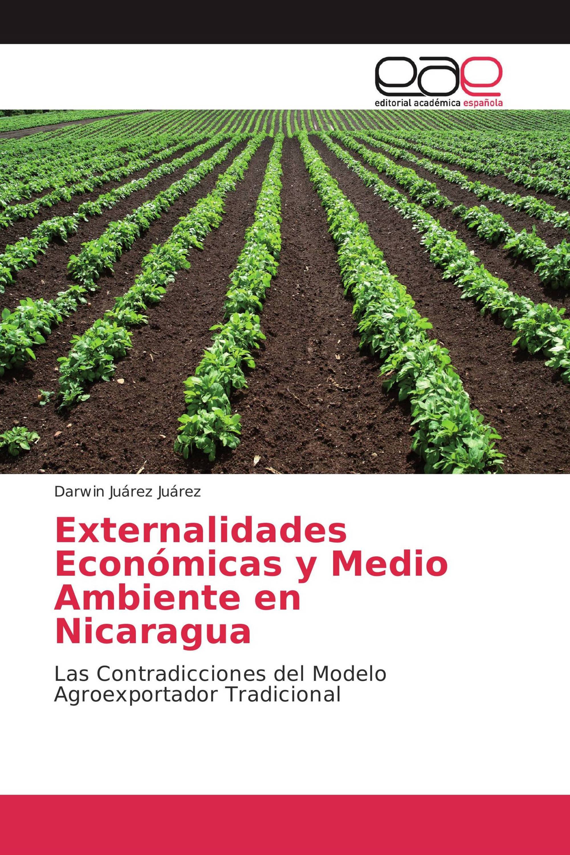 Externalidades Económicas y Medio Ambiente en Nicaragua