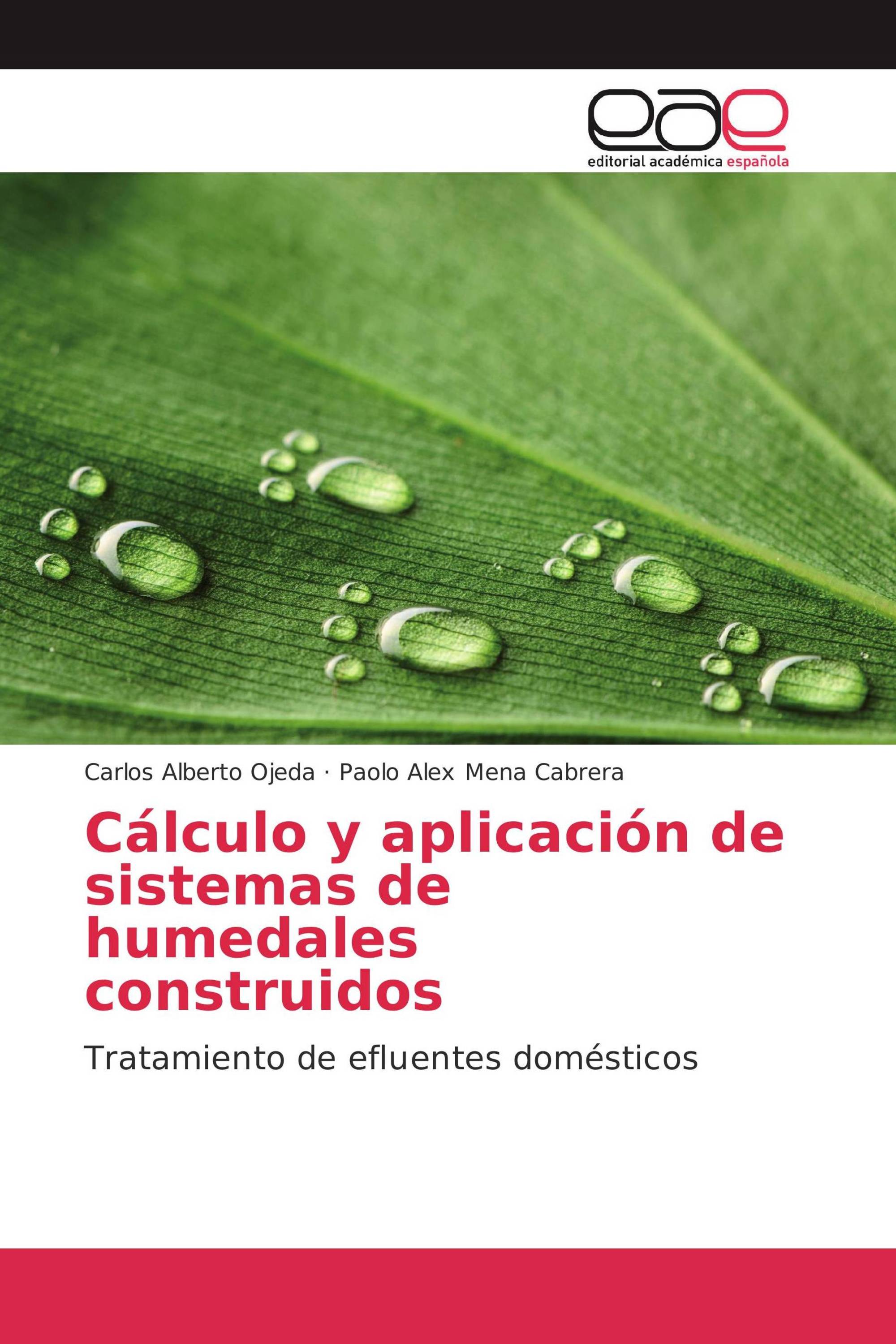 Cálculo y aplicación de sistemas de humedales construidos