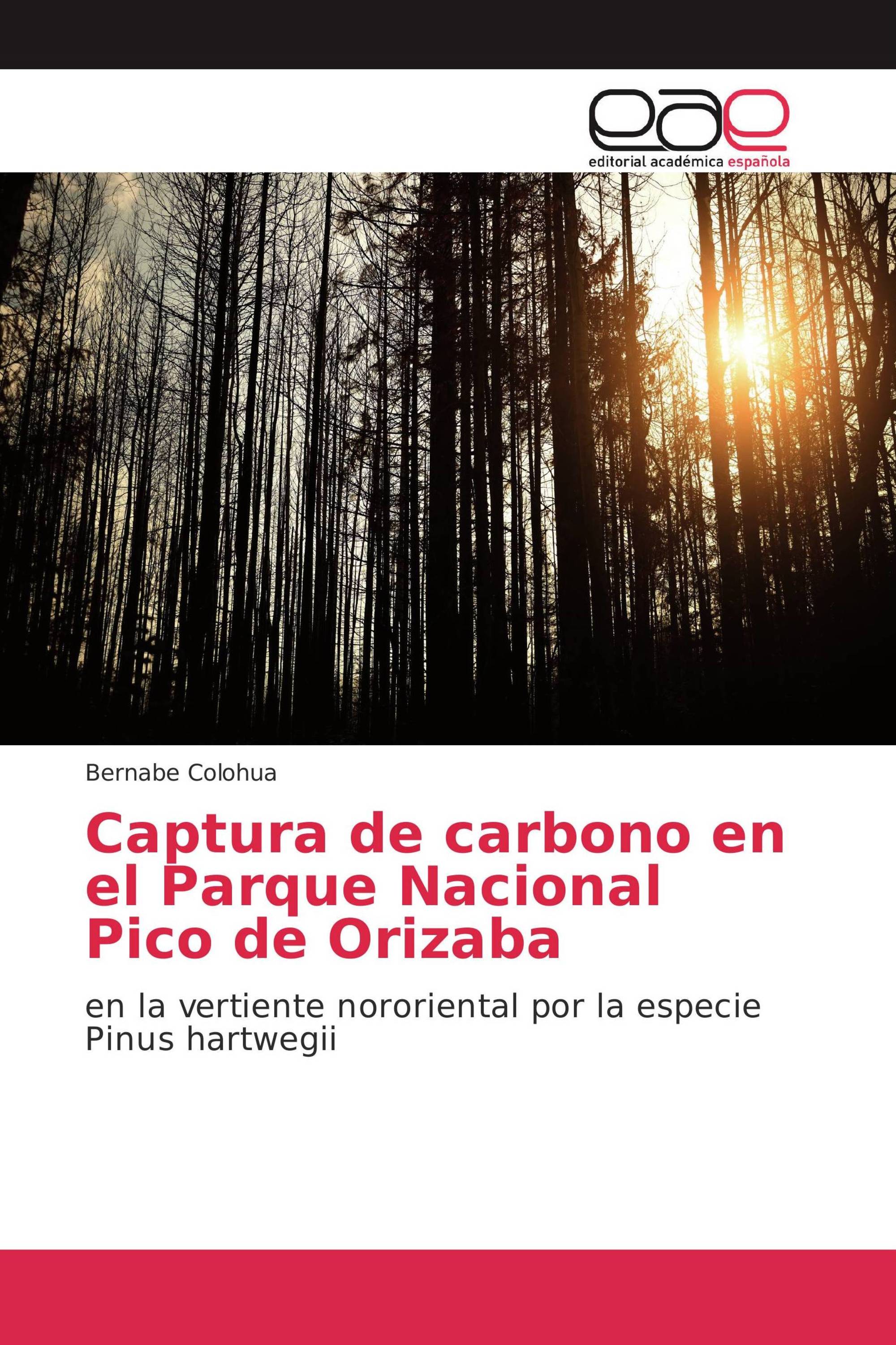 Captura de carbono en el Parque Nacional Pico de Orizaba