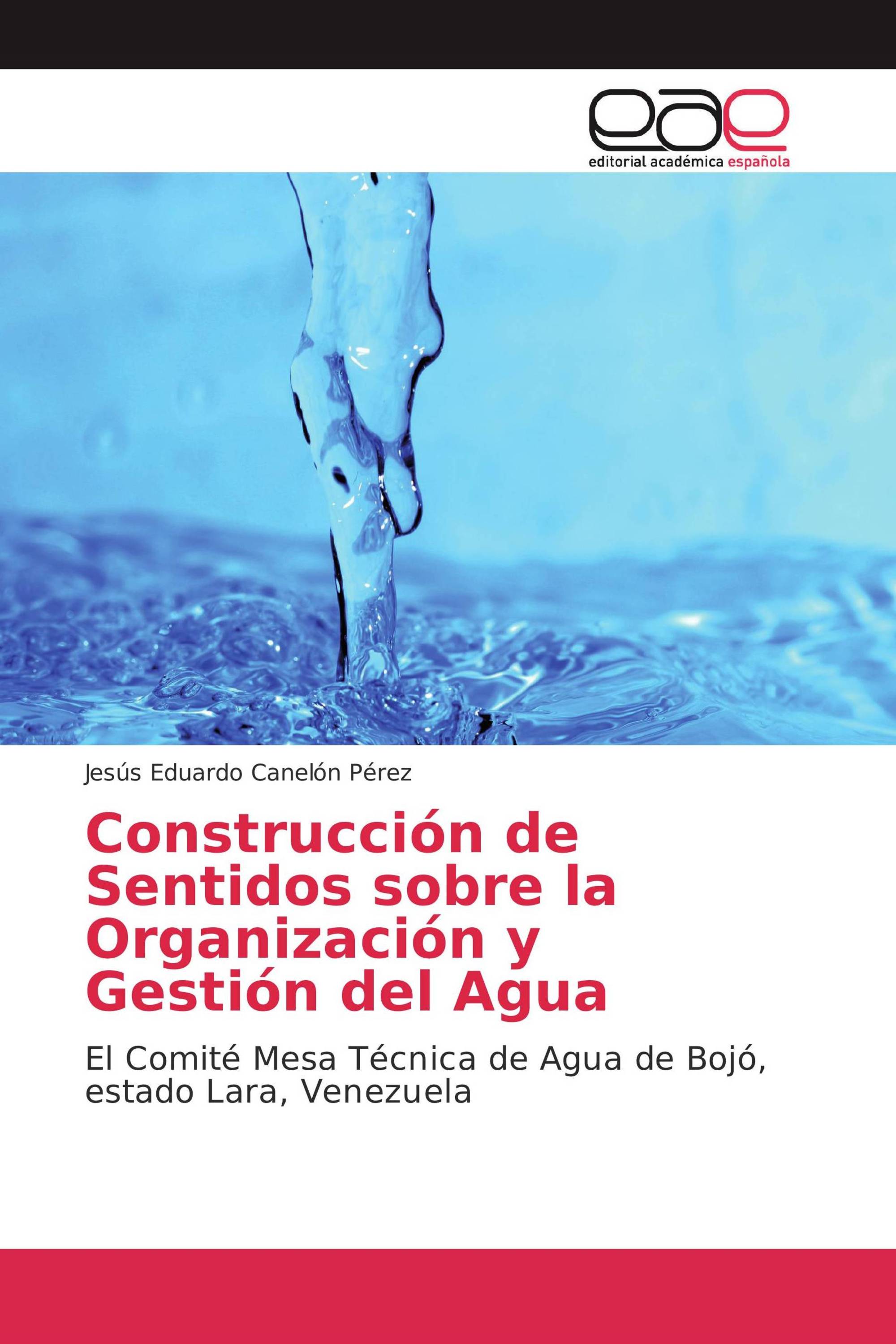 Construcción de Sentidos sobre la Organización y Gestión del Agua