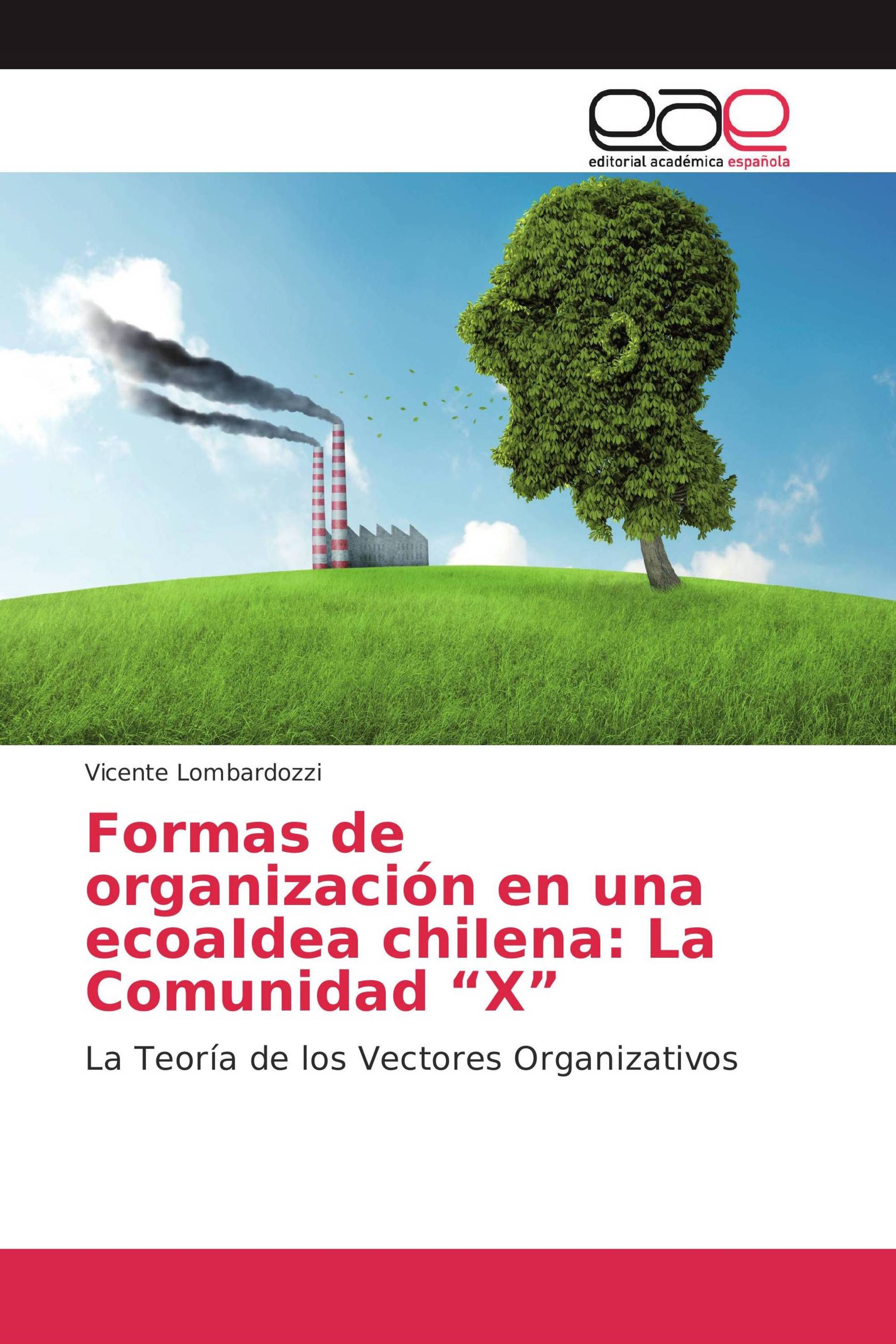 Formas de organización en una ecoaIdea chiIena: La Comunidad “X”