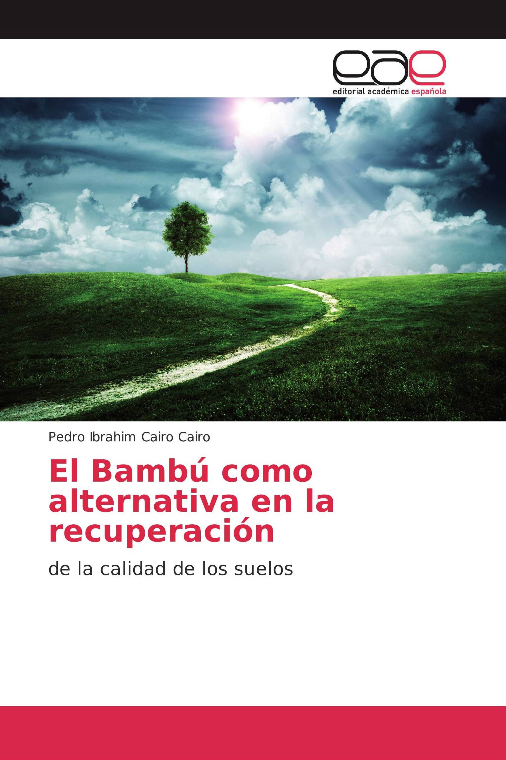 El Bambú como alternativa en la recuperación