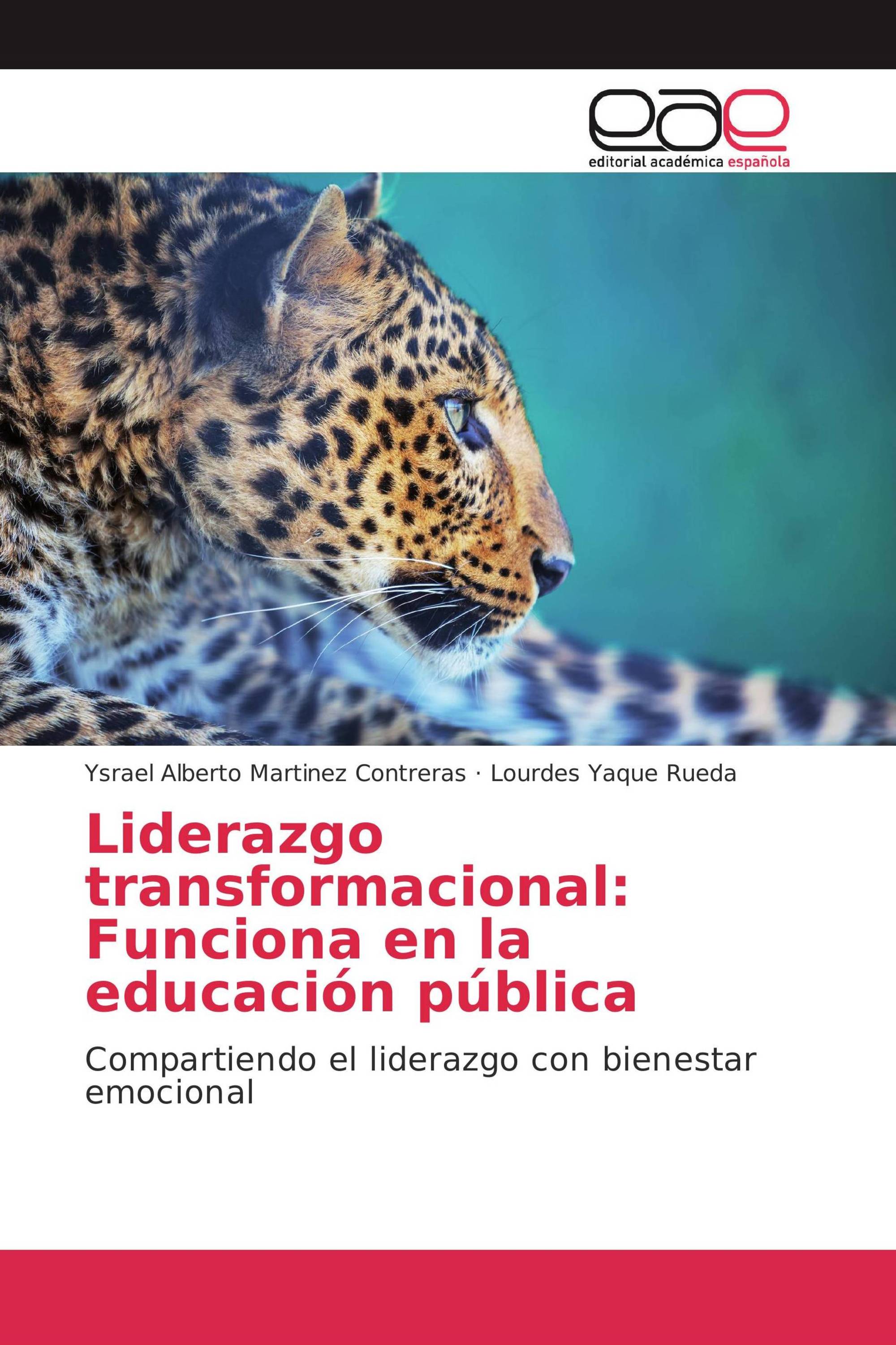 Liderazgo transformacional: Funciona en la educación pública