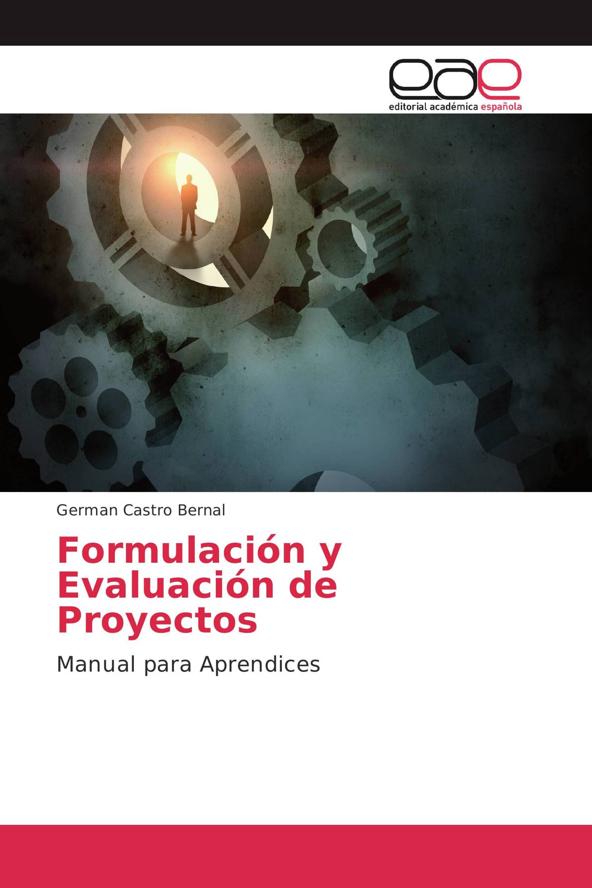 Formulación y Evaluación de Proyectos