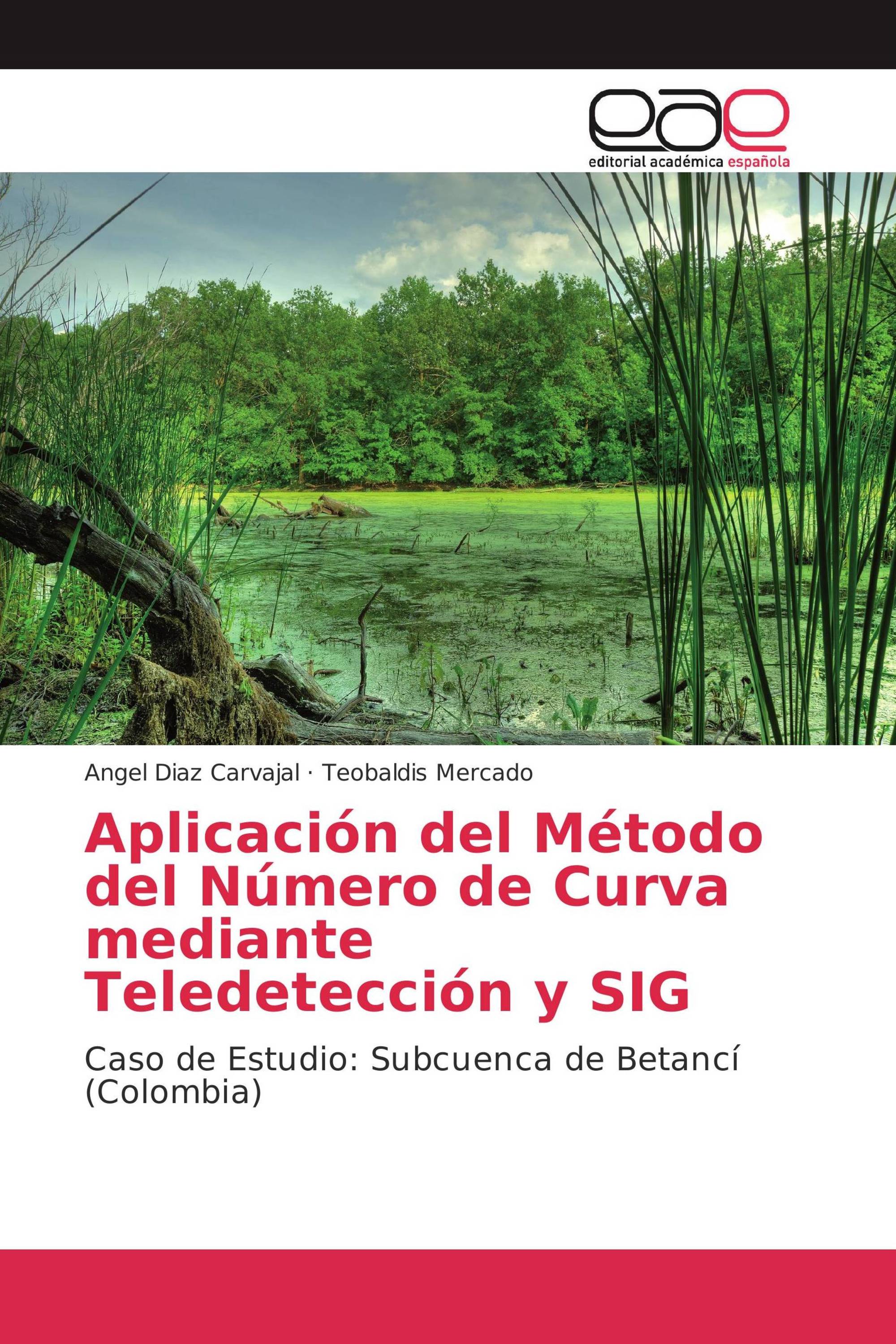 Aplicación del Método del Número de Curva mediante Teledetección y SIG