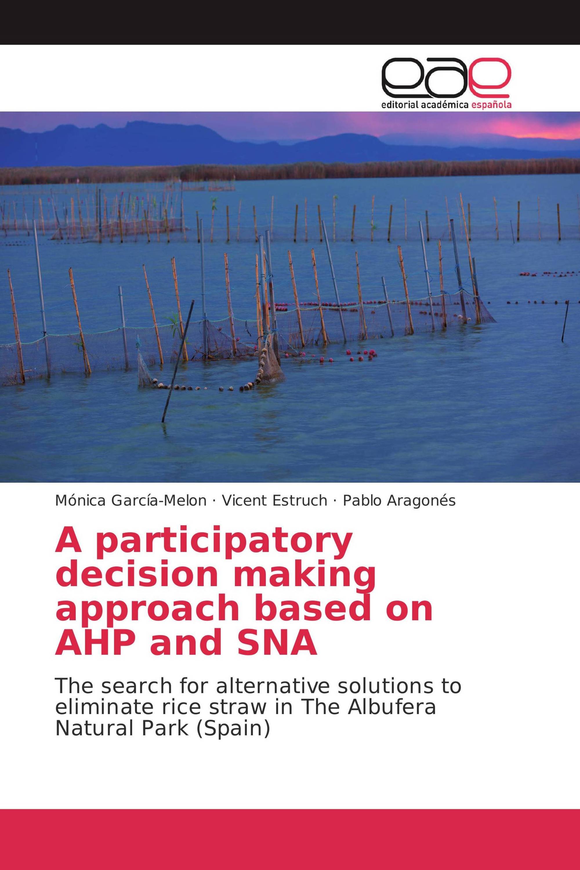 A participatory decision making approach based on AHP and SNA