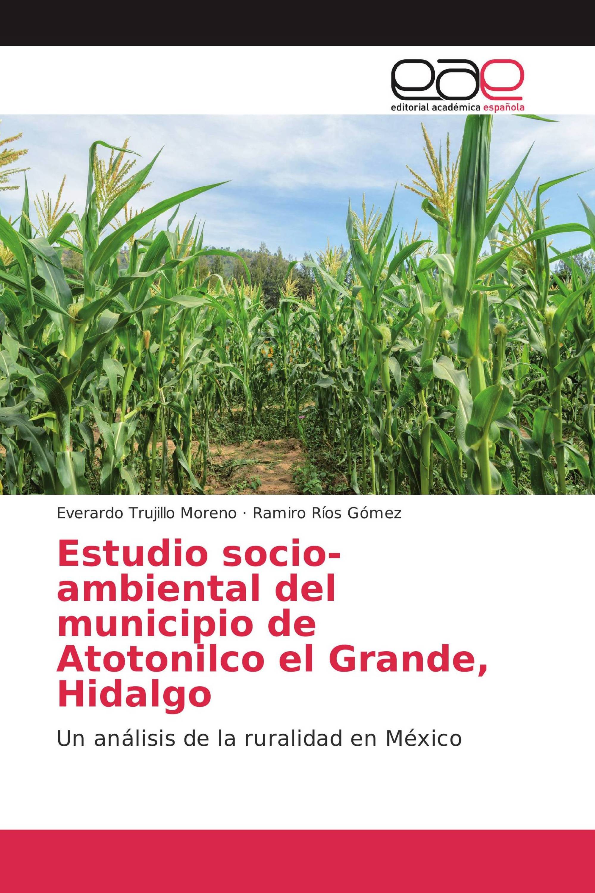 Estudio socio-ambiental del municipio de Atotonilco el Grande, Hidalgo