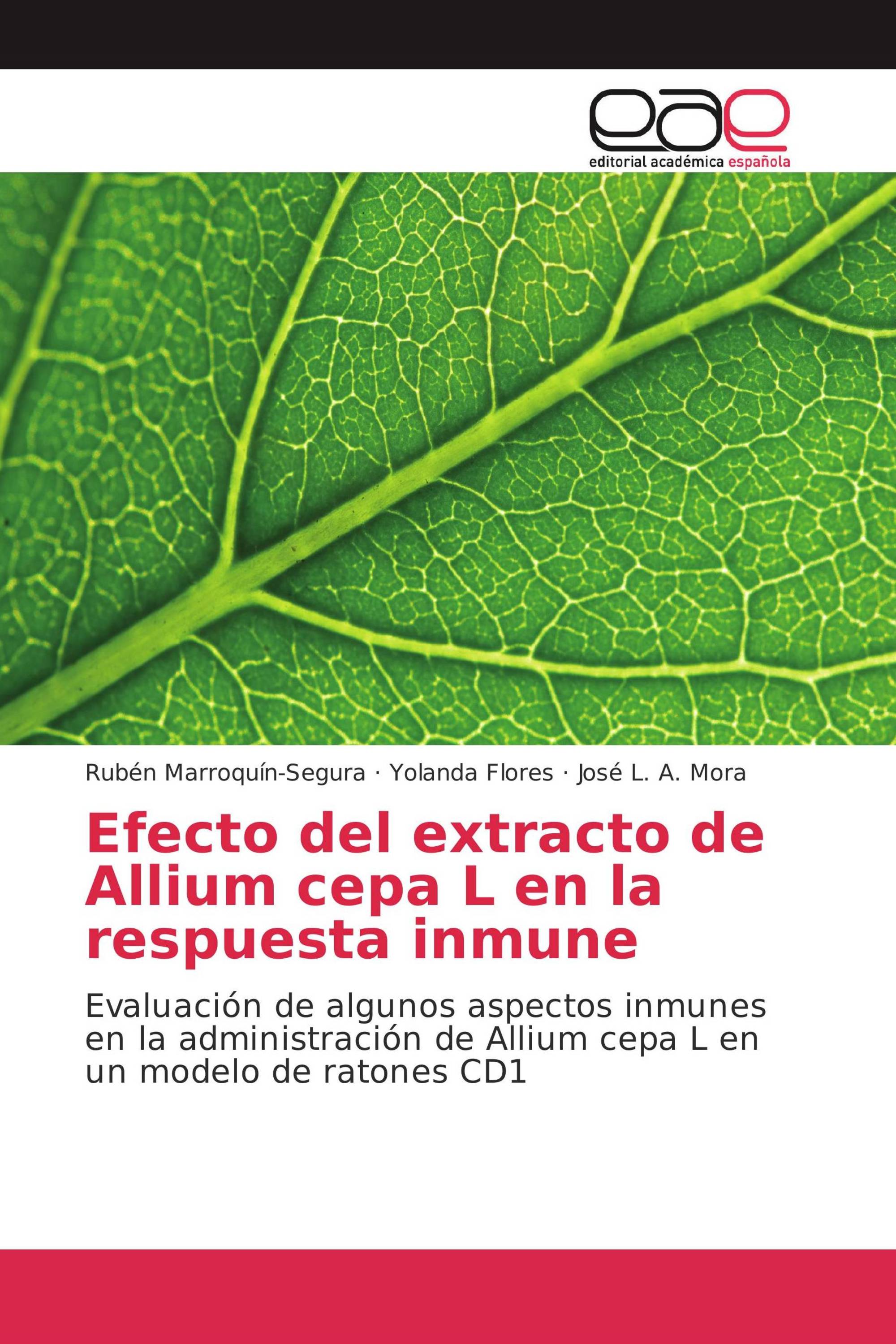 Efecto del extracto de Allium cepa L en la respuesta inmune